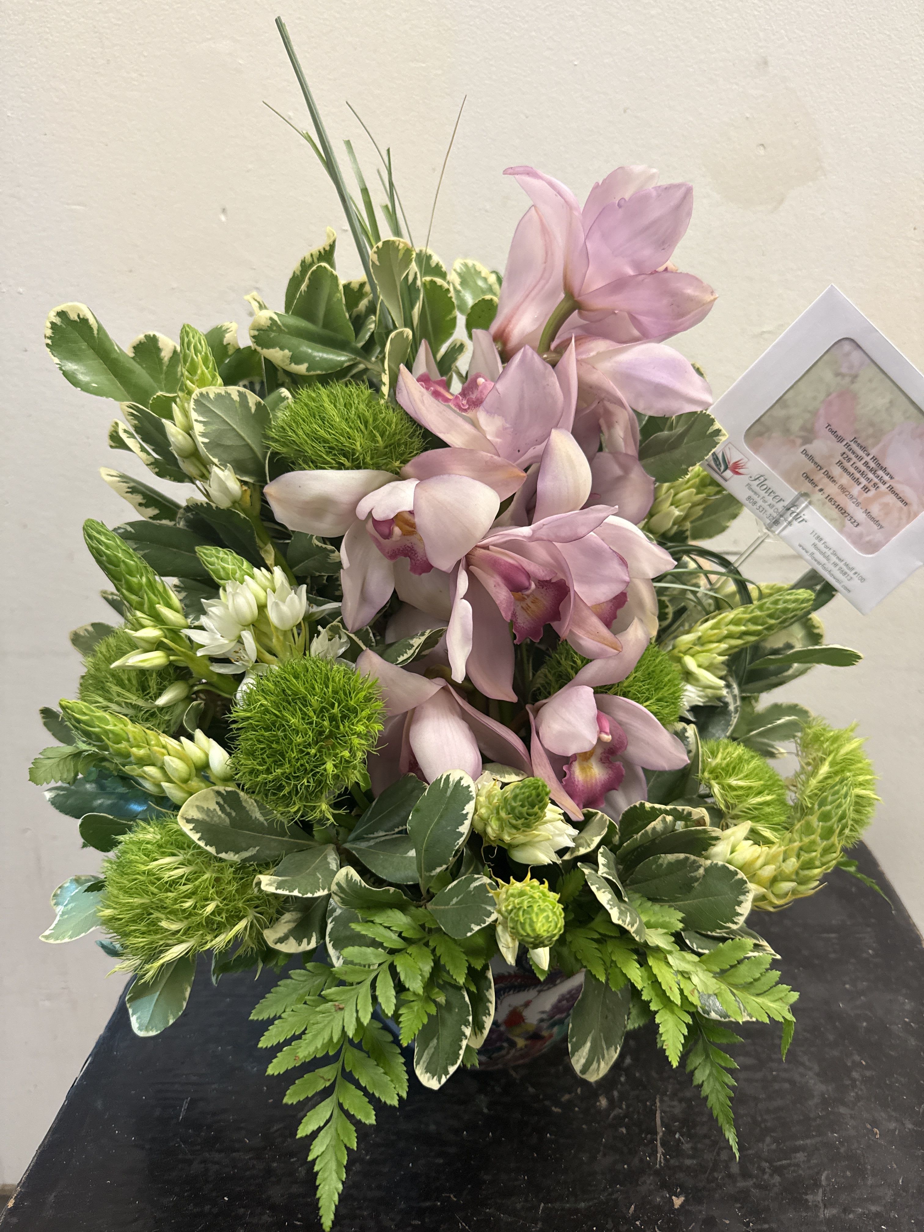 Pink Cymbidium CYM101