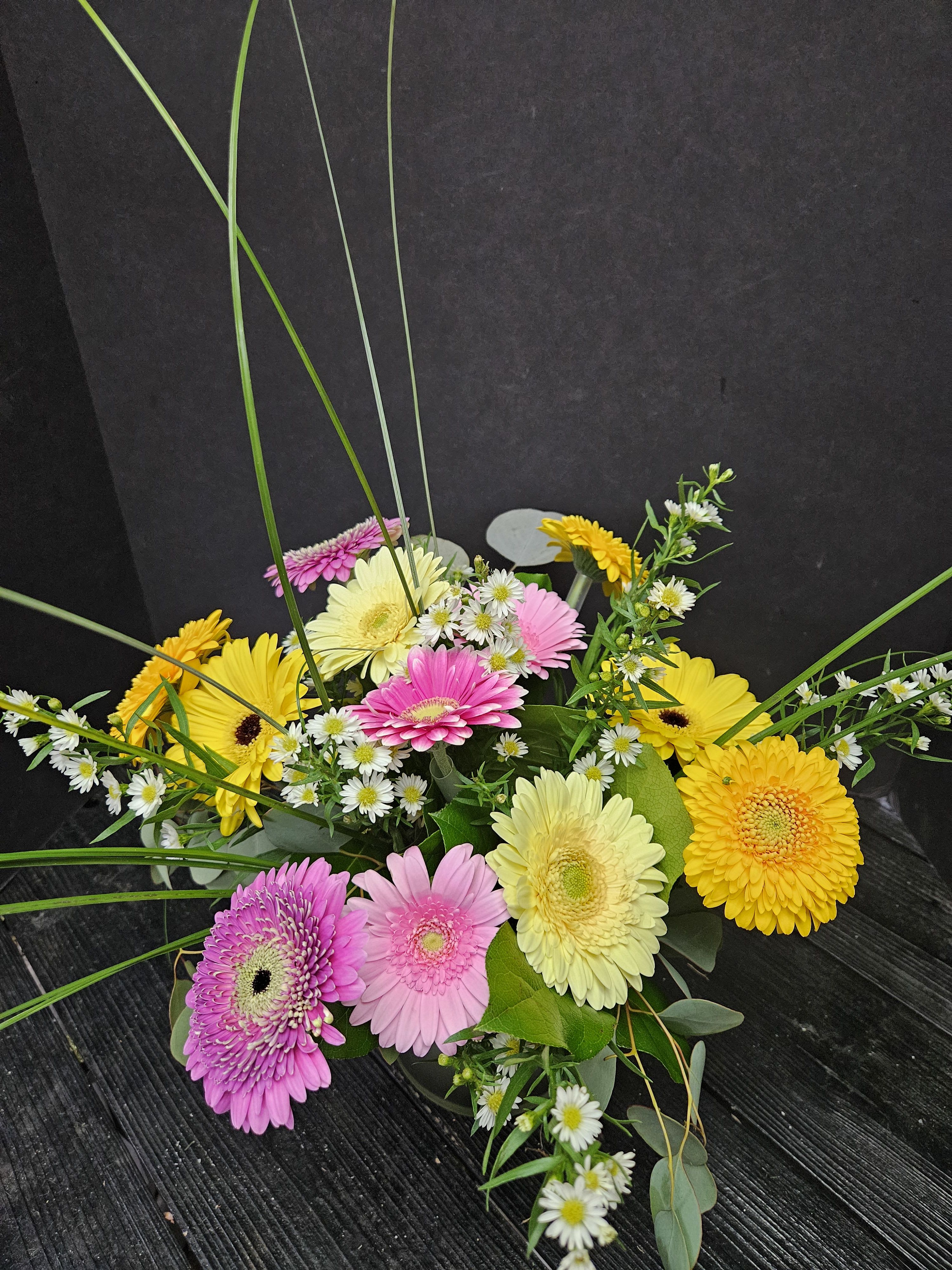 Summer Gerbera