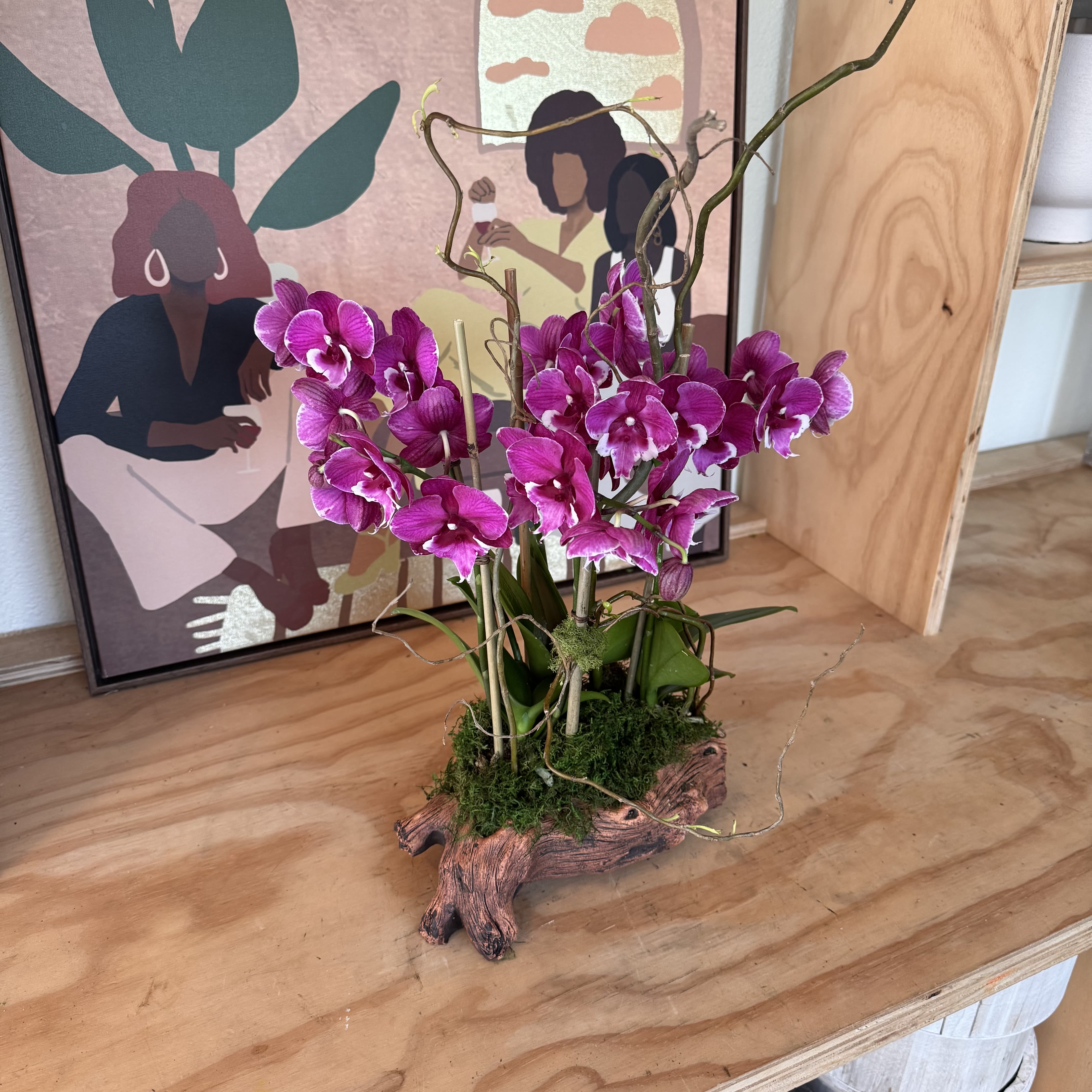 Flor’s Orchids