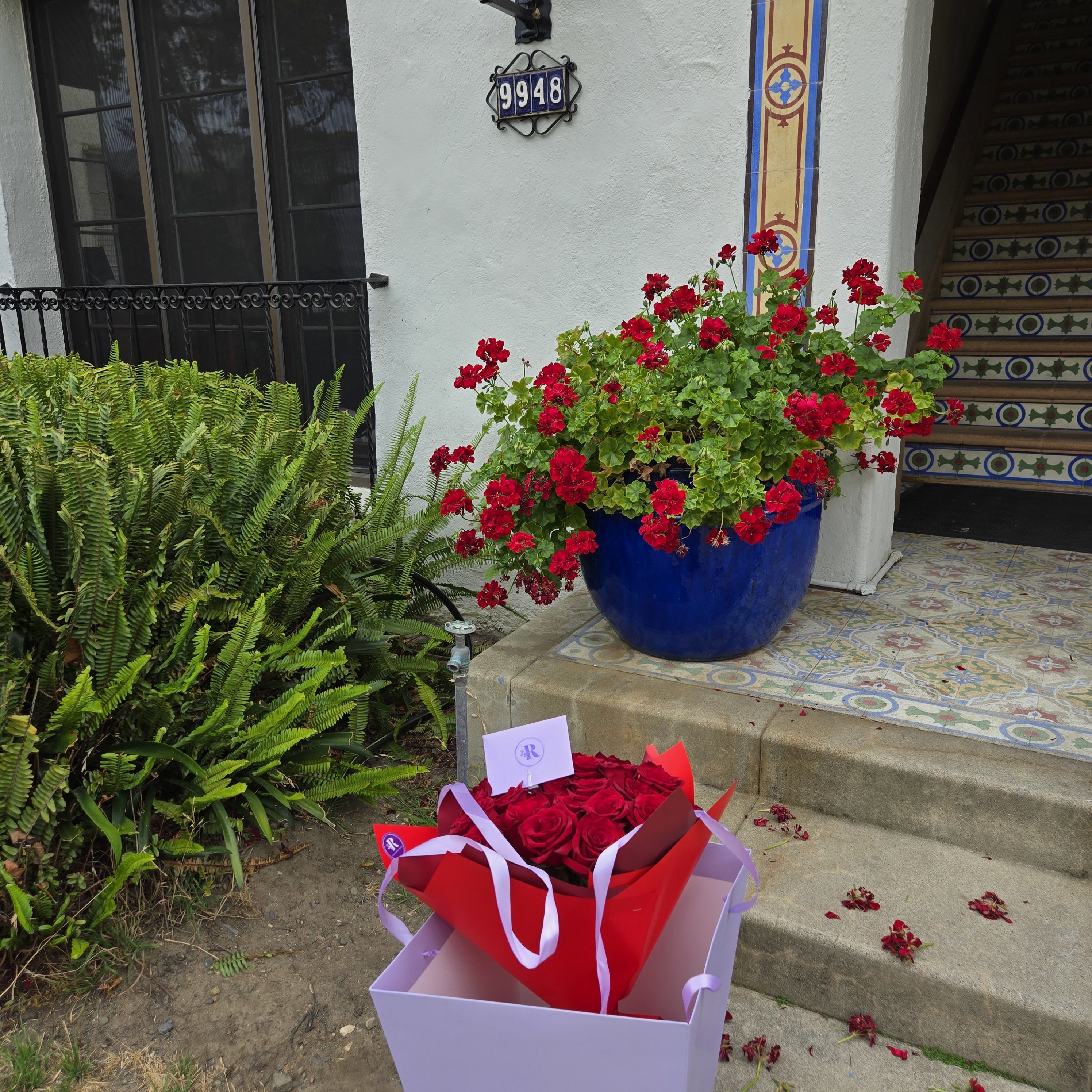 Roses by Dozen in Bouquet (12/24/36)