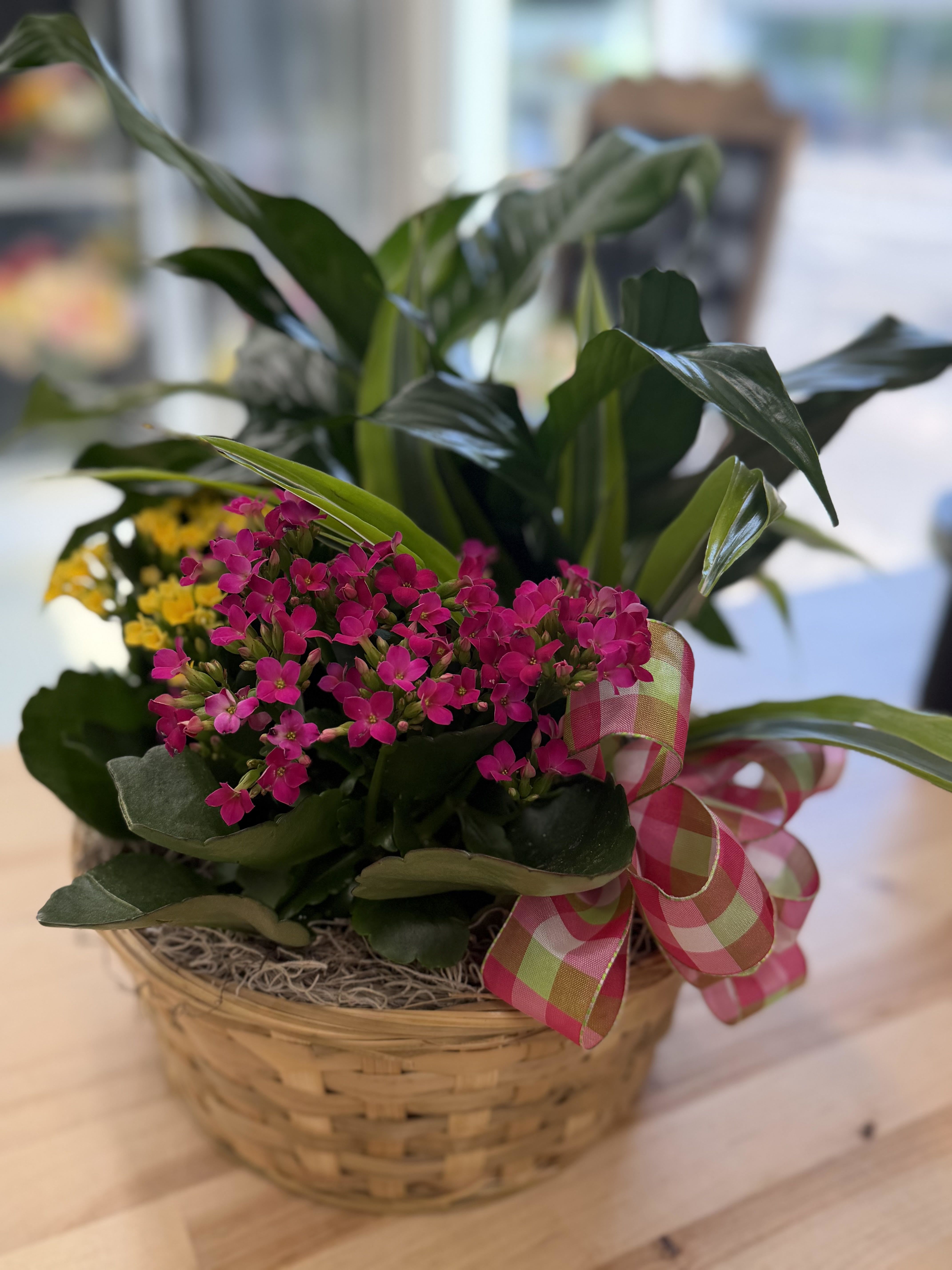Mixed Plant Basket by BloomNation™