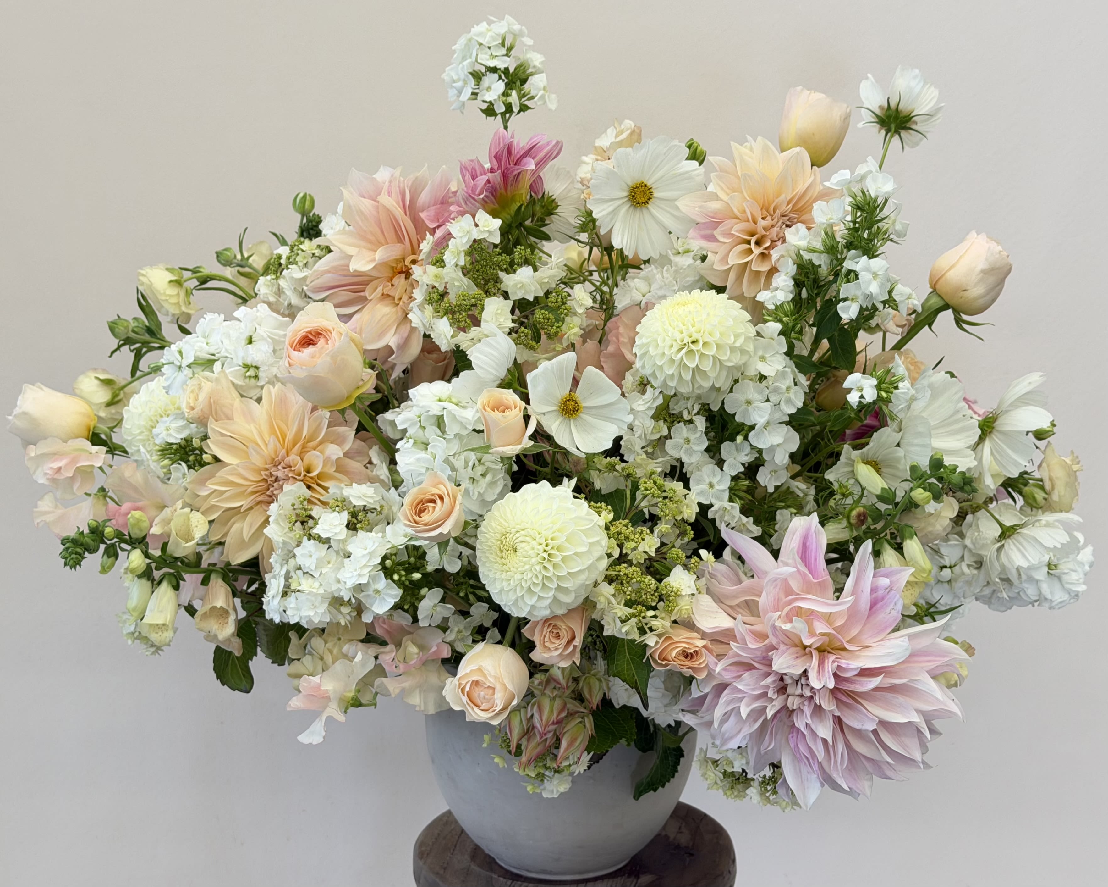 The Dahlias are in Session Arrangement.