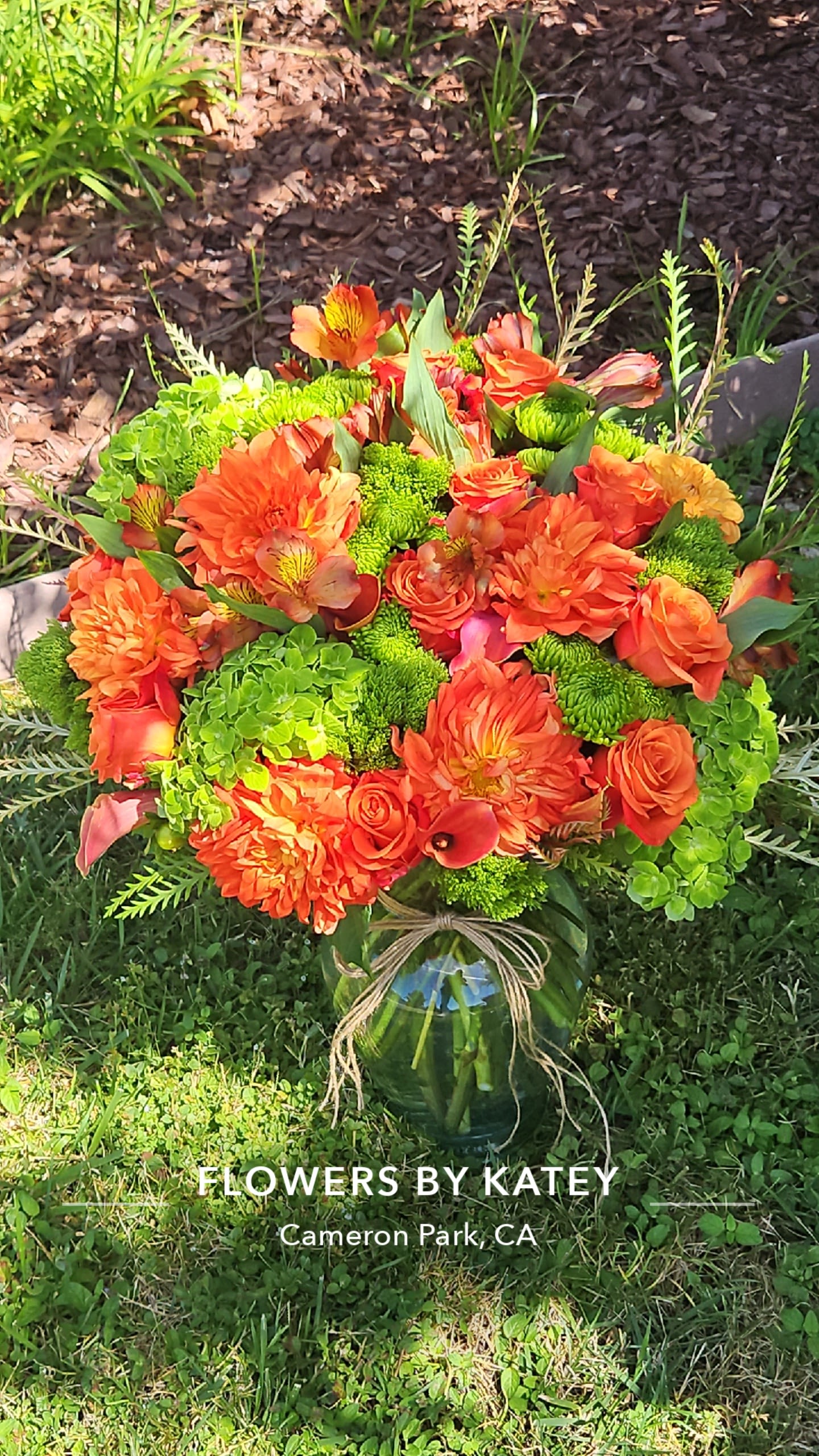 Katey's Orange Delight