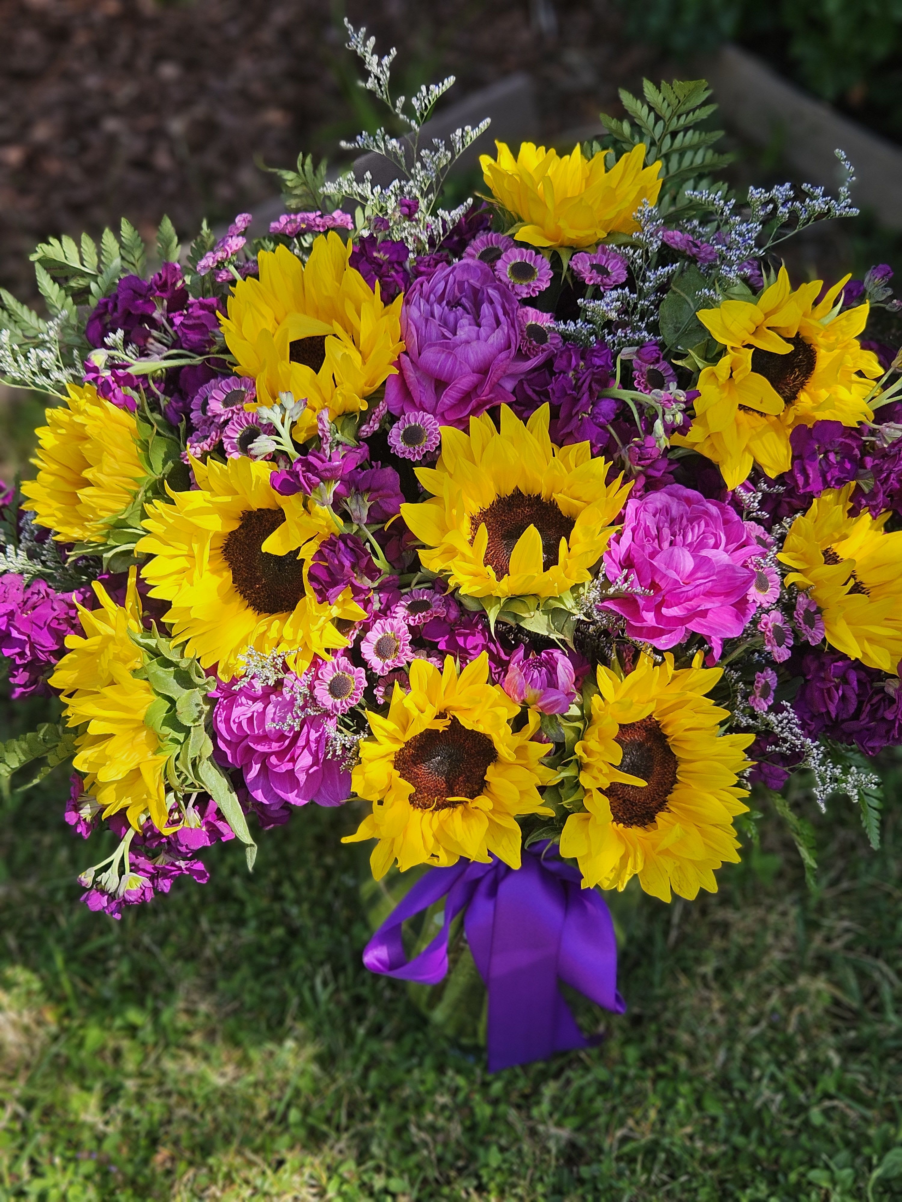 Katey's Sunflower Dream