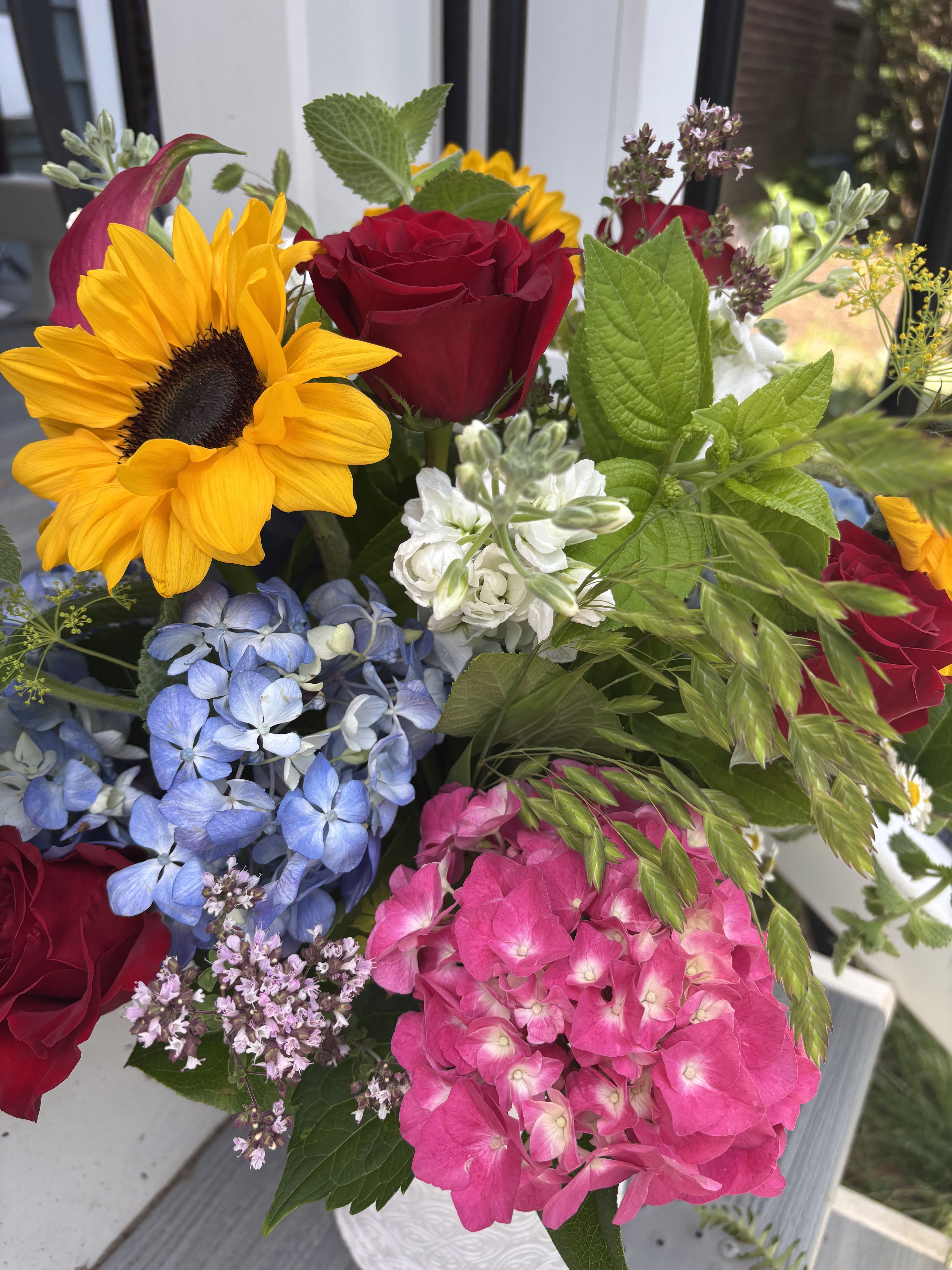 Explosion of Color- Designers Choice