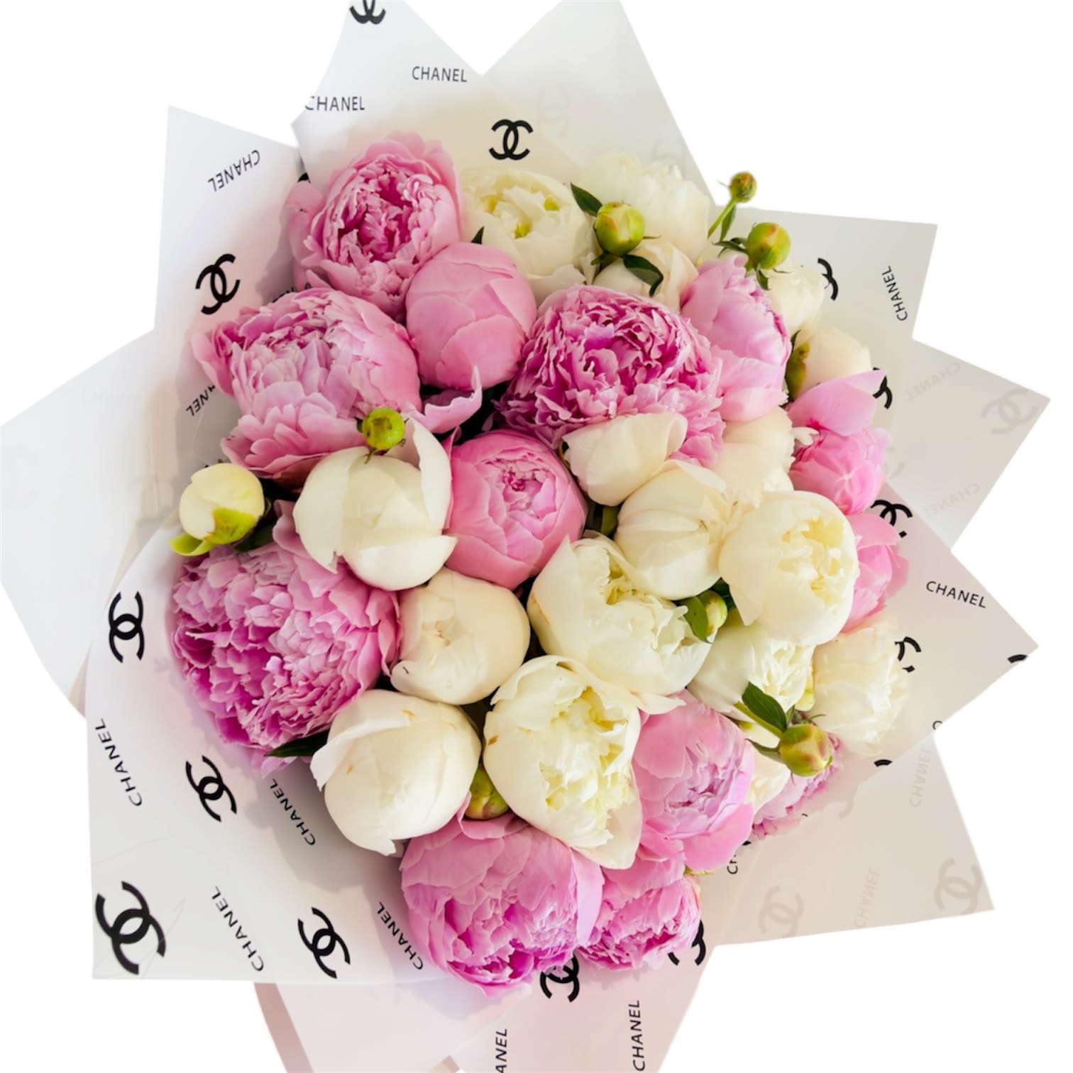 Peony Elegance