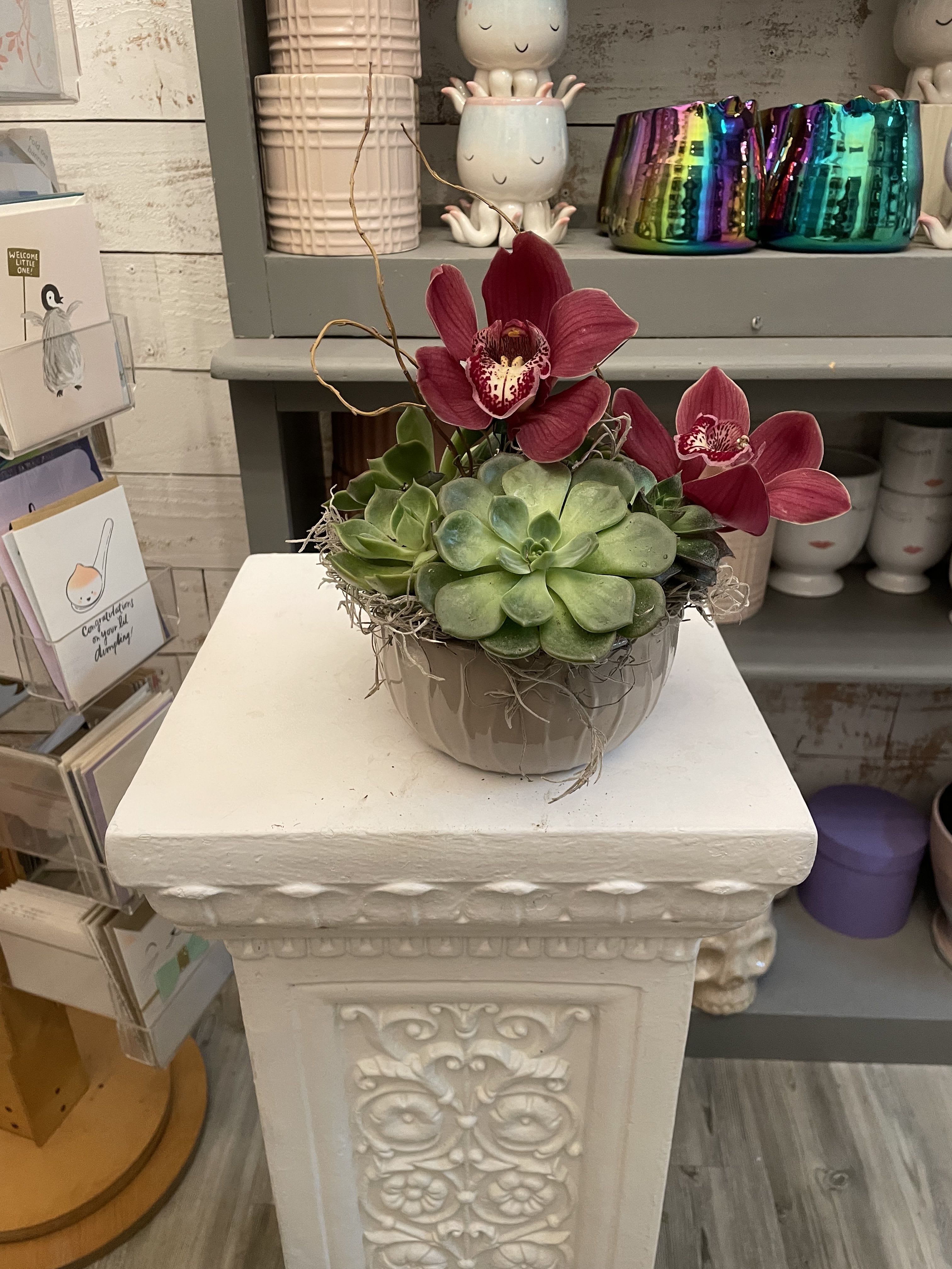 Designer's choice succulent garden