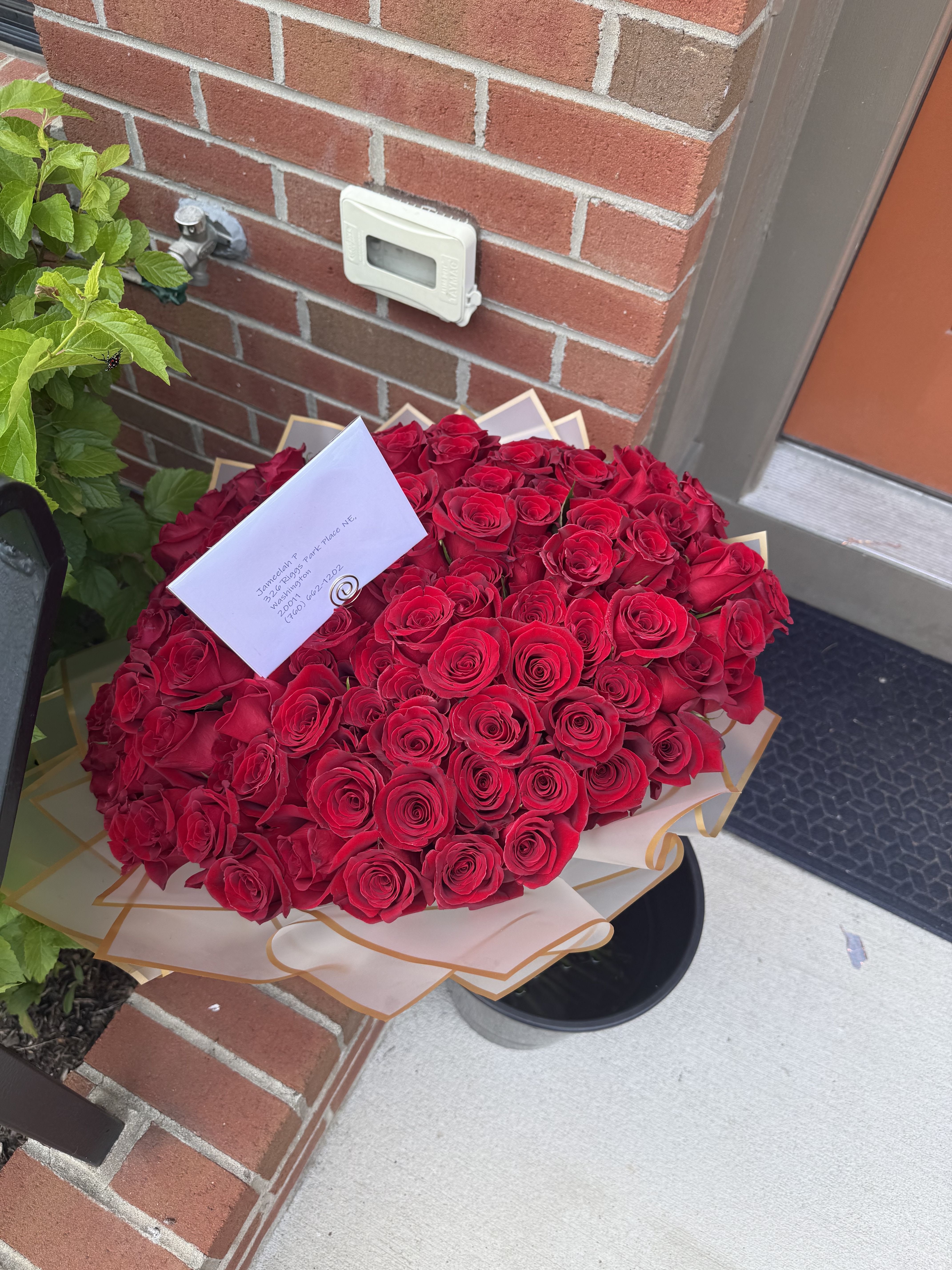100 Long Stem Red Roses