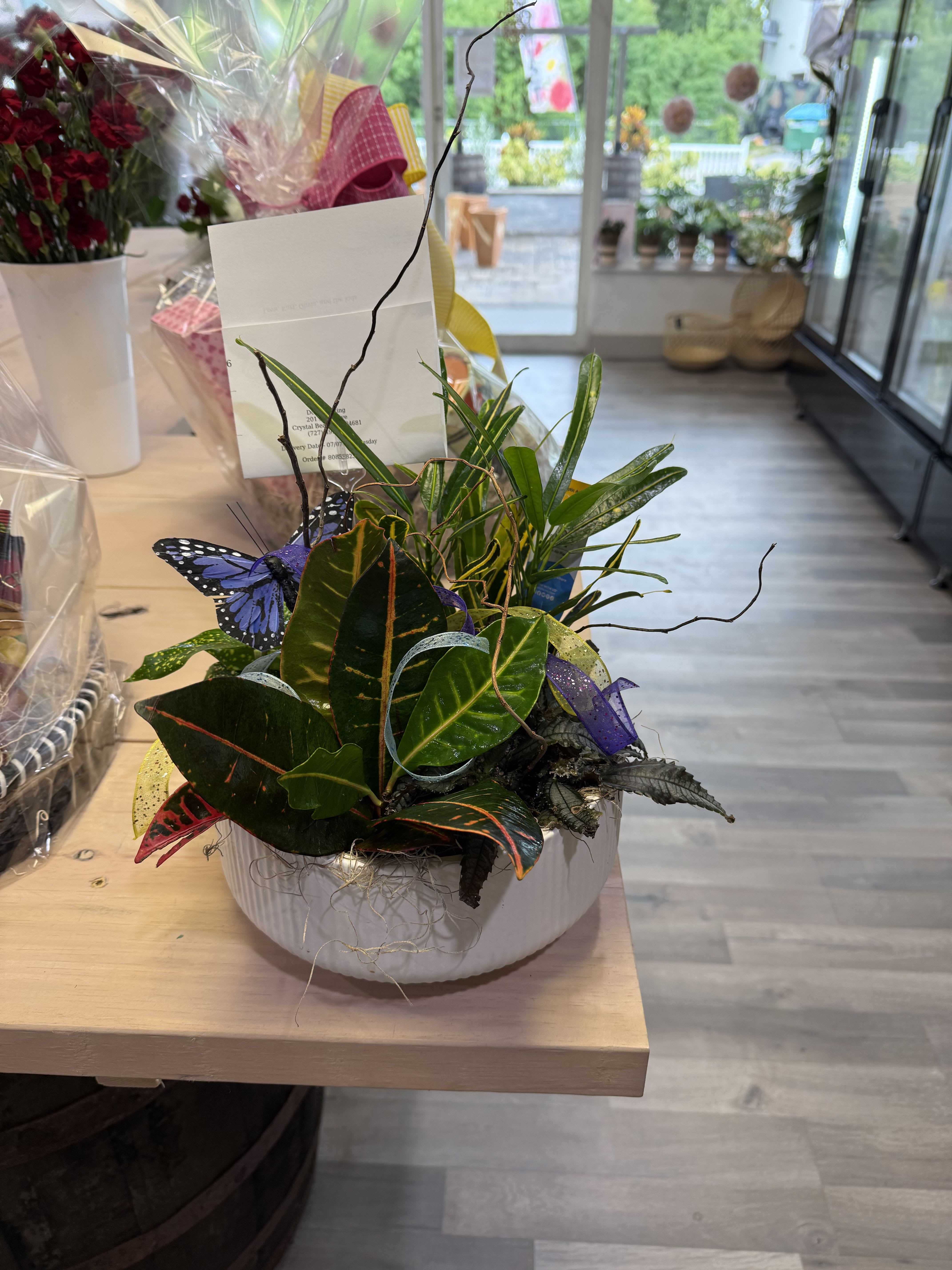 Butterfly Serenity Dish Garden