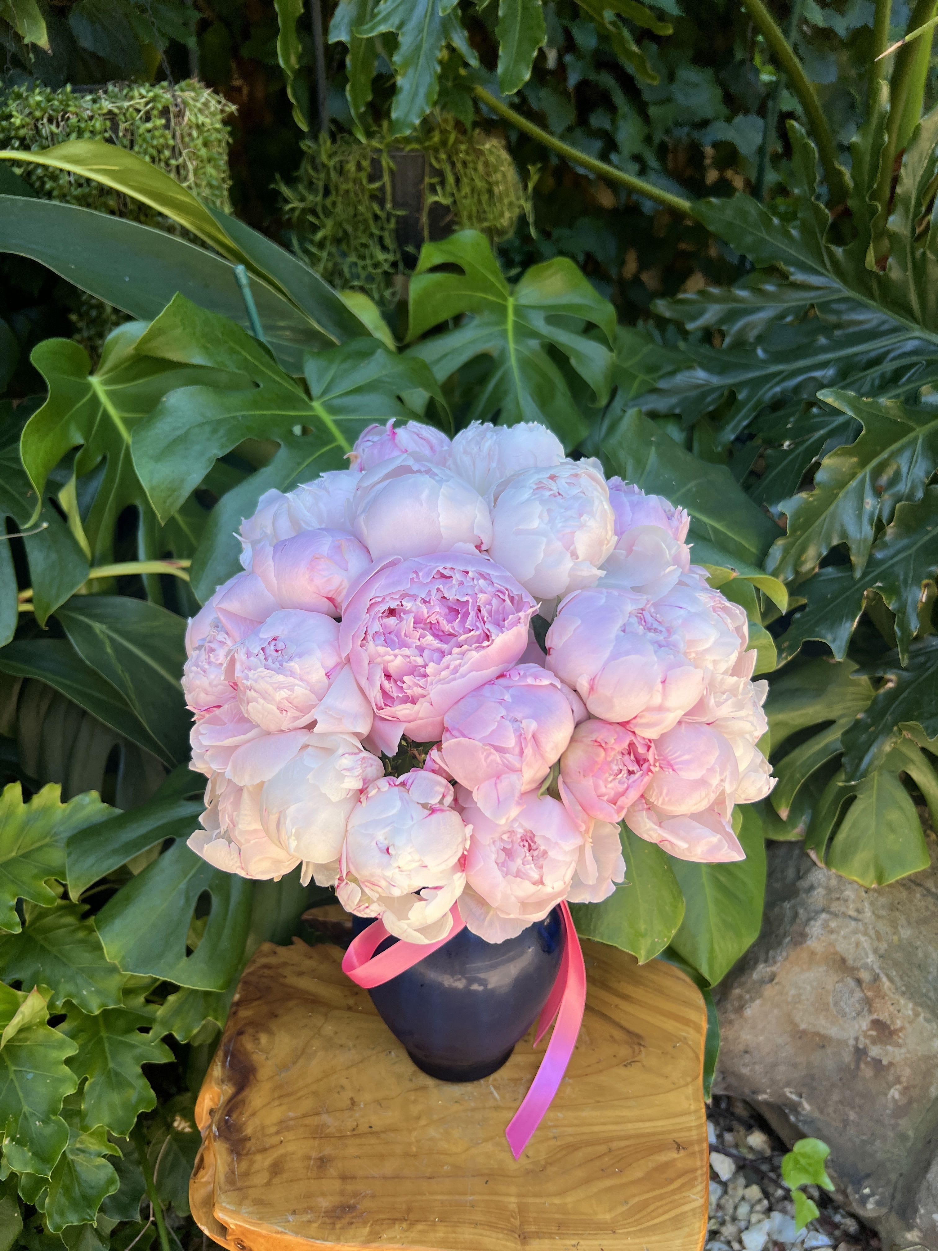 Pink Peonies 