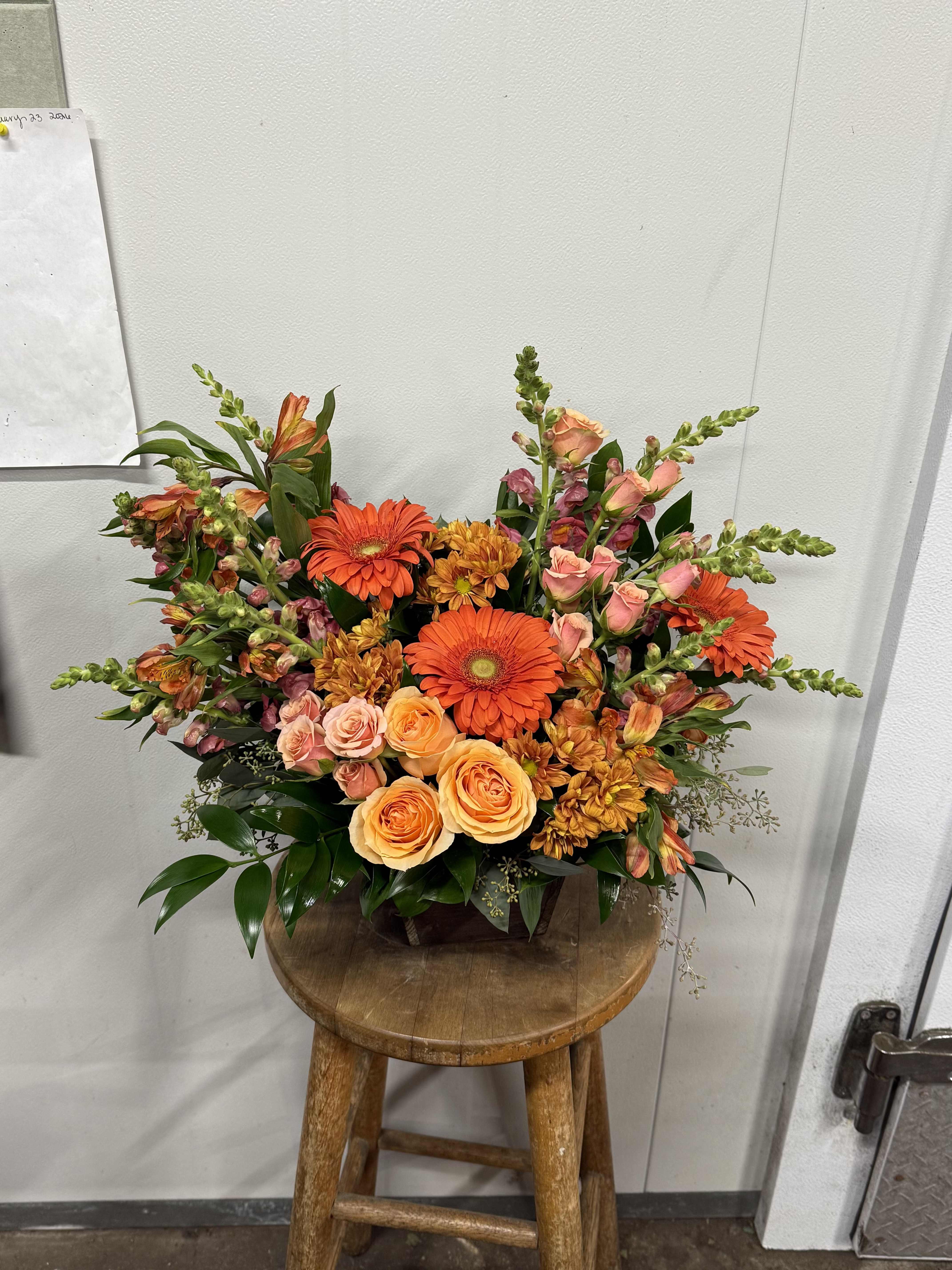 Citrus 