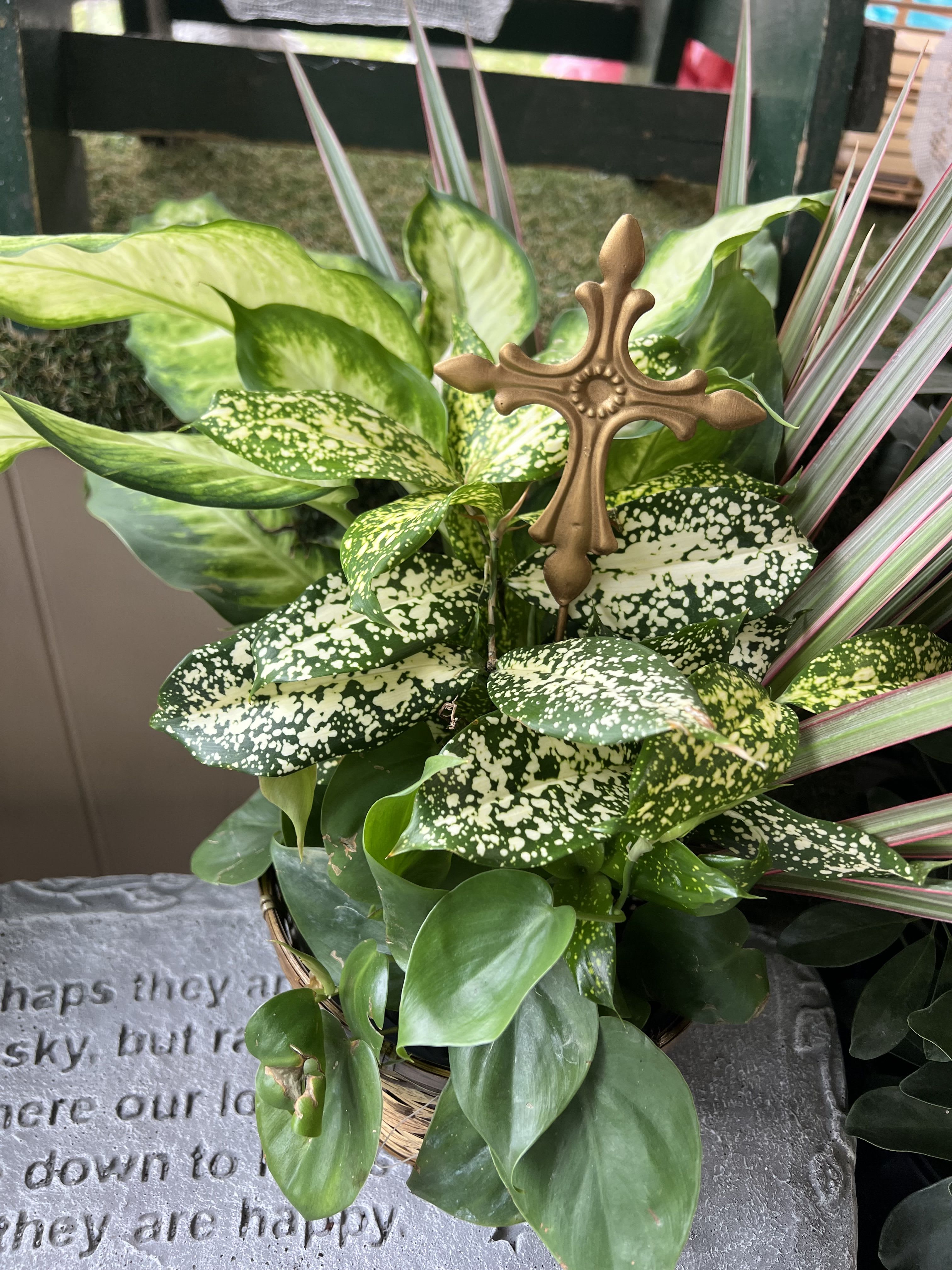 Green Plant