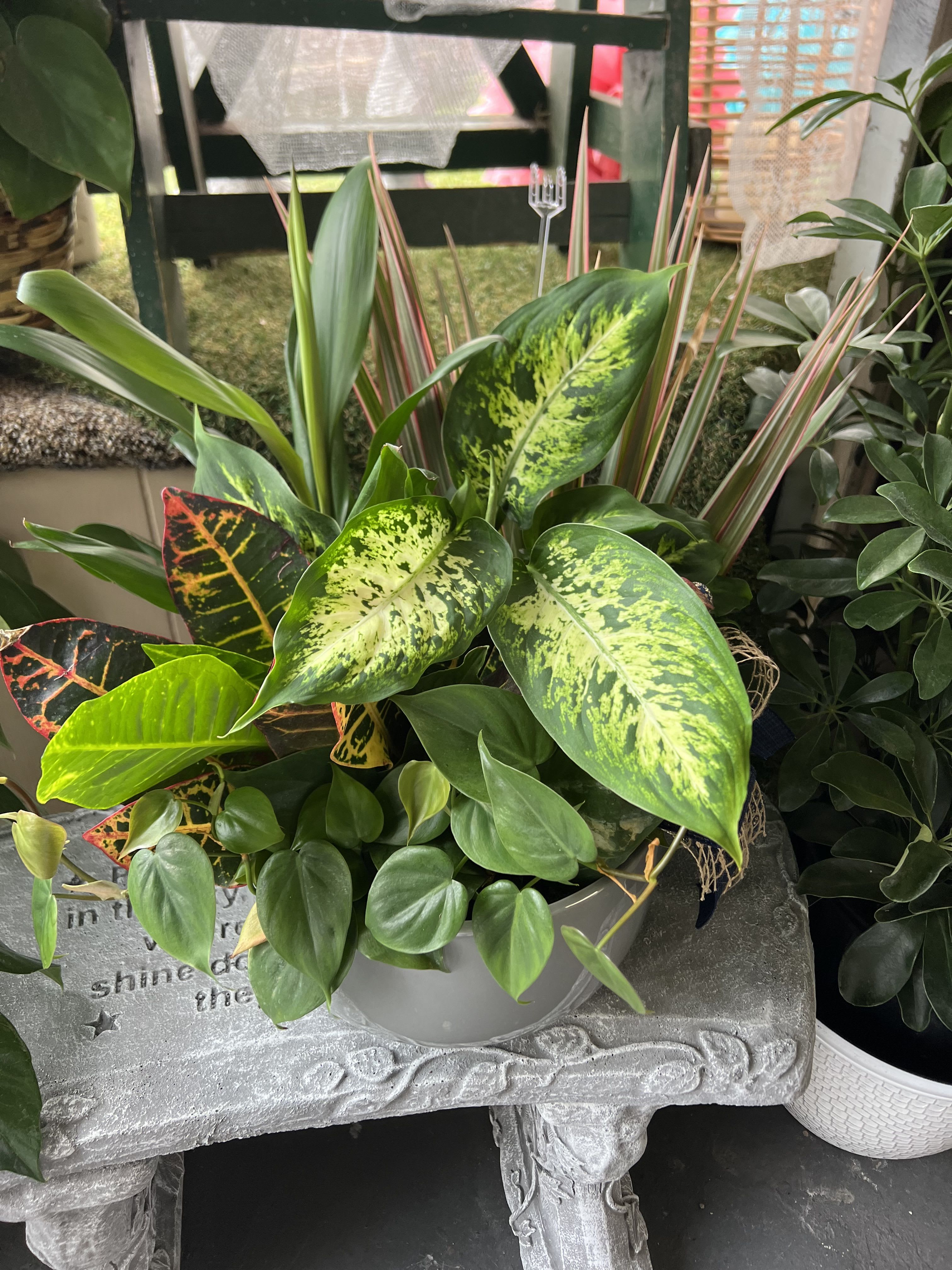 Green Plant