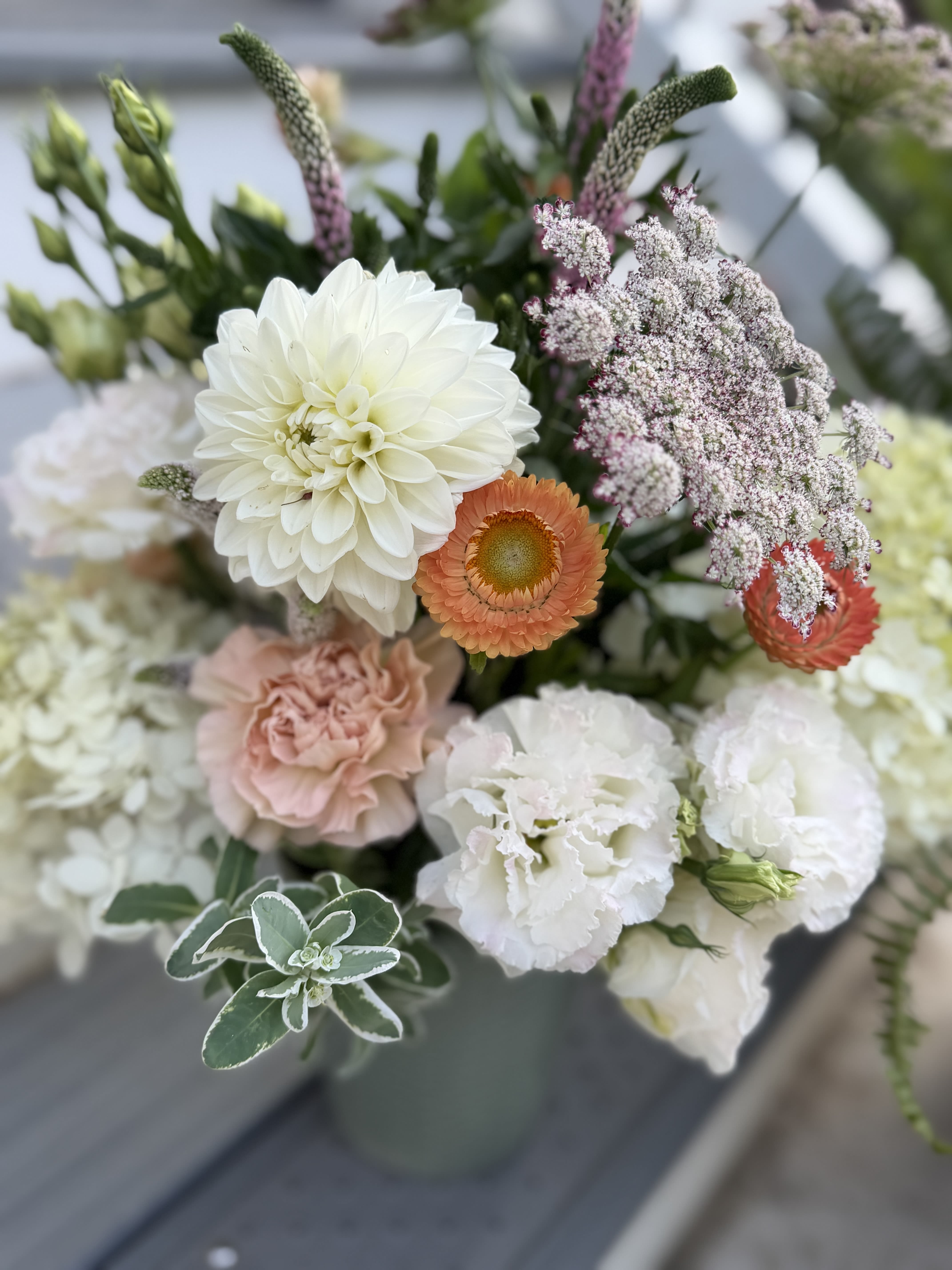 Soft Palette- Designer's Choice