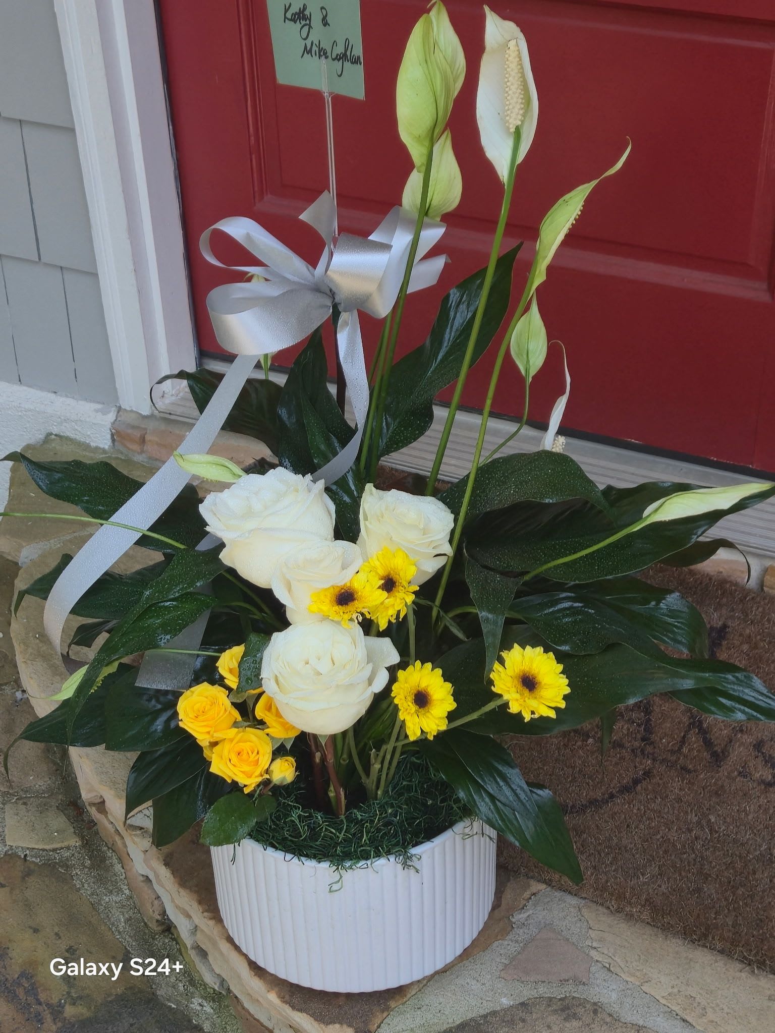 Sunny in Tulips with Peace Lily