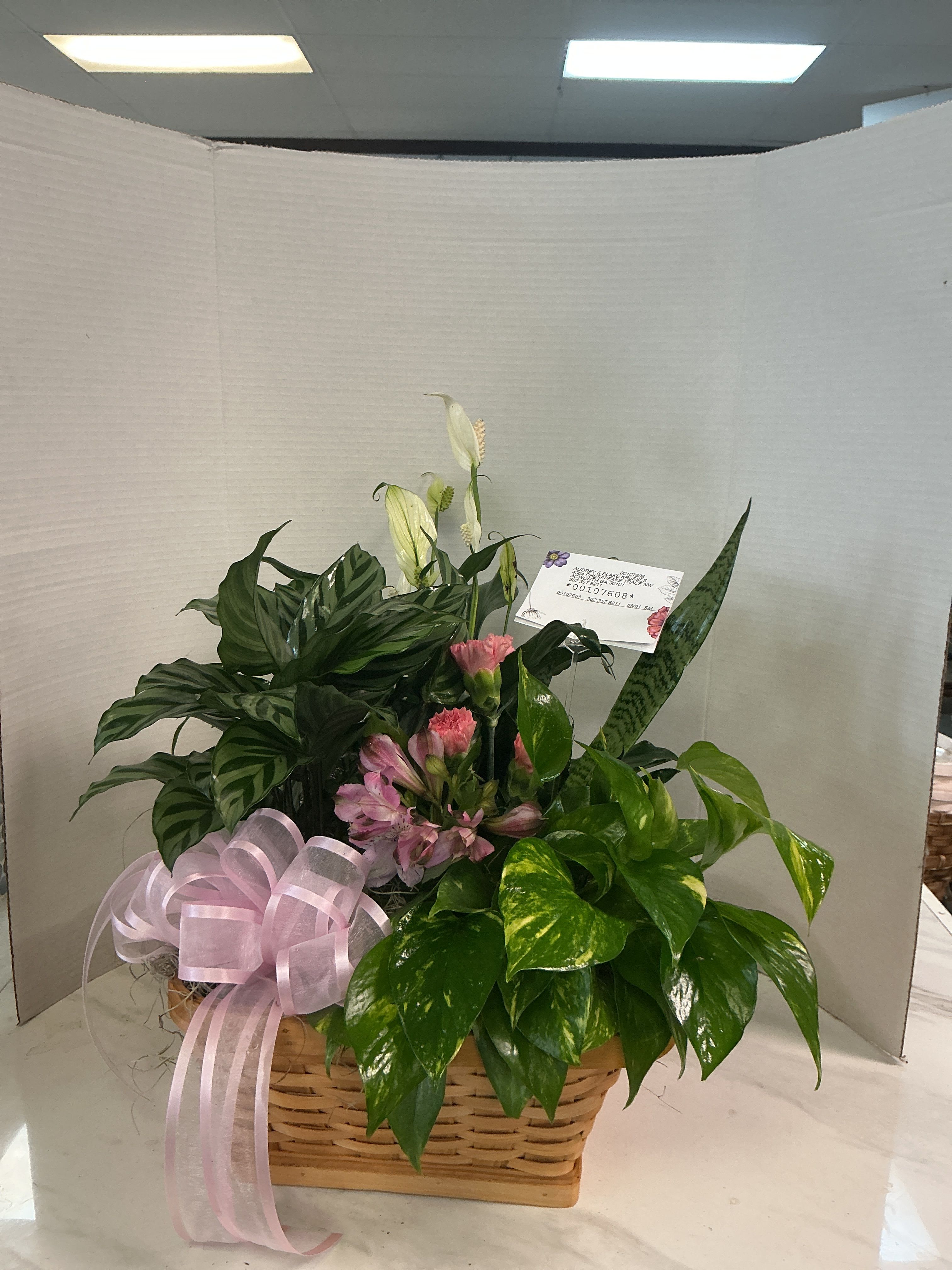 FTD Living Spirit Dishgarden