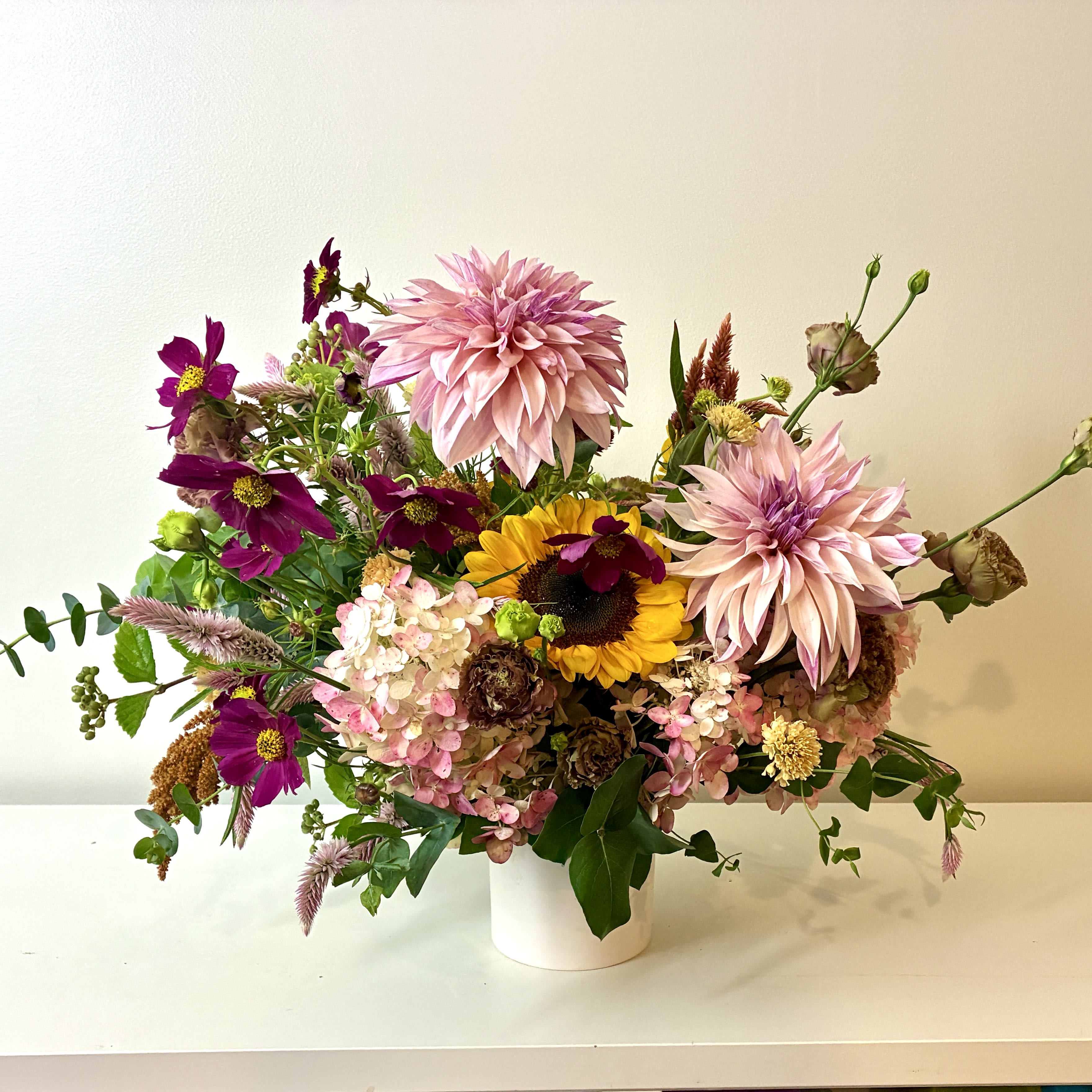 DESIGNER CHOICE    |    Springs Best