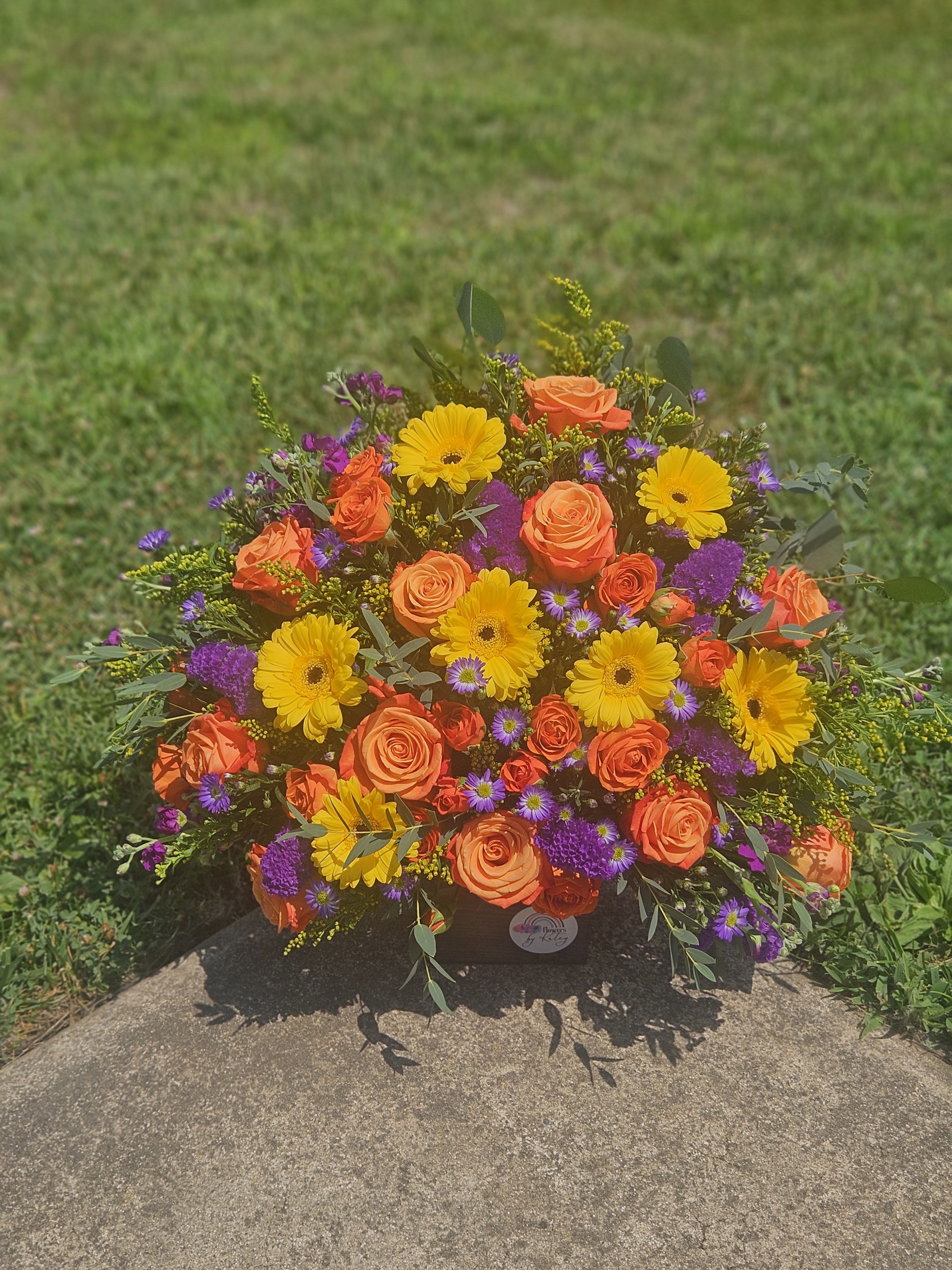 Katey's Daisy Sunrise