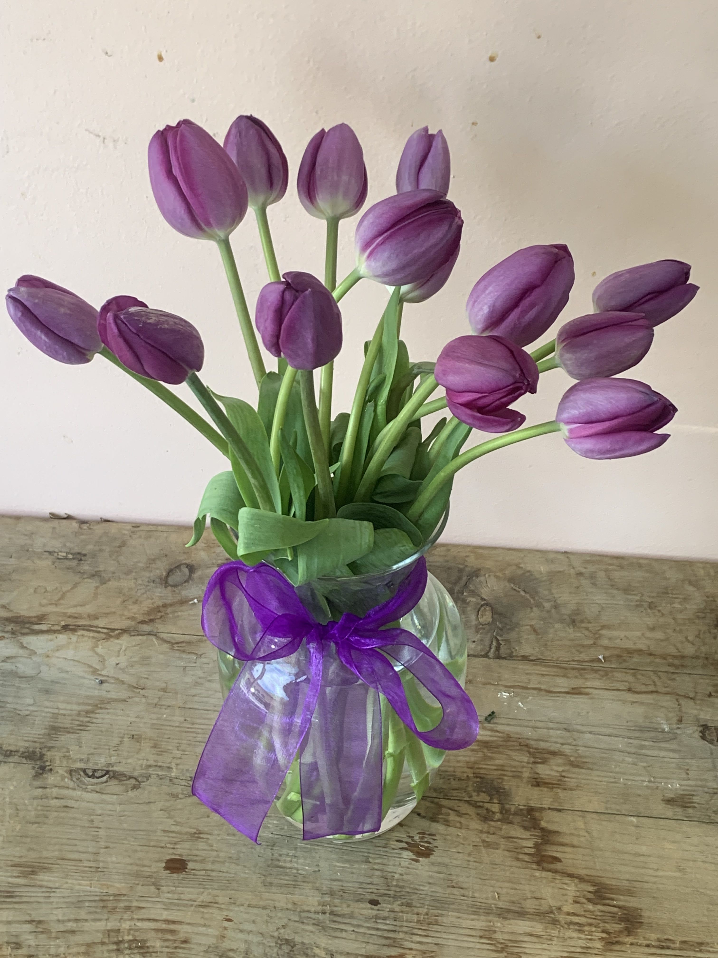 Passionate Purple Tulips - T148-2A