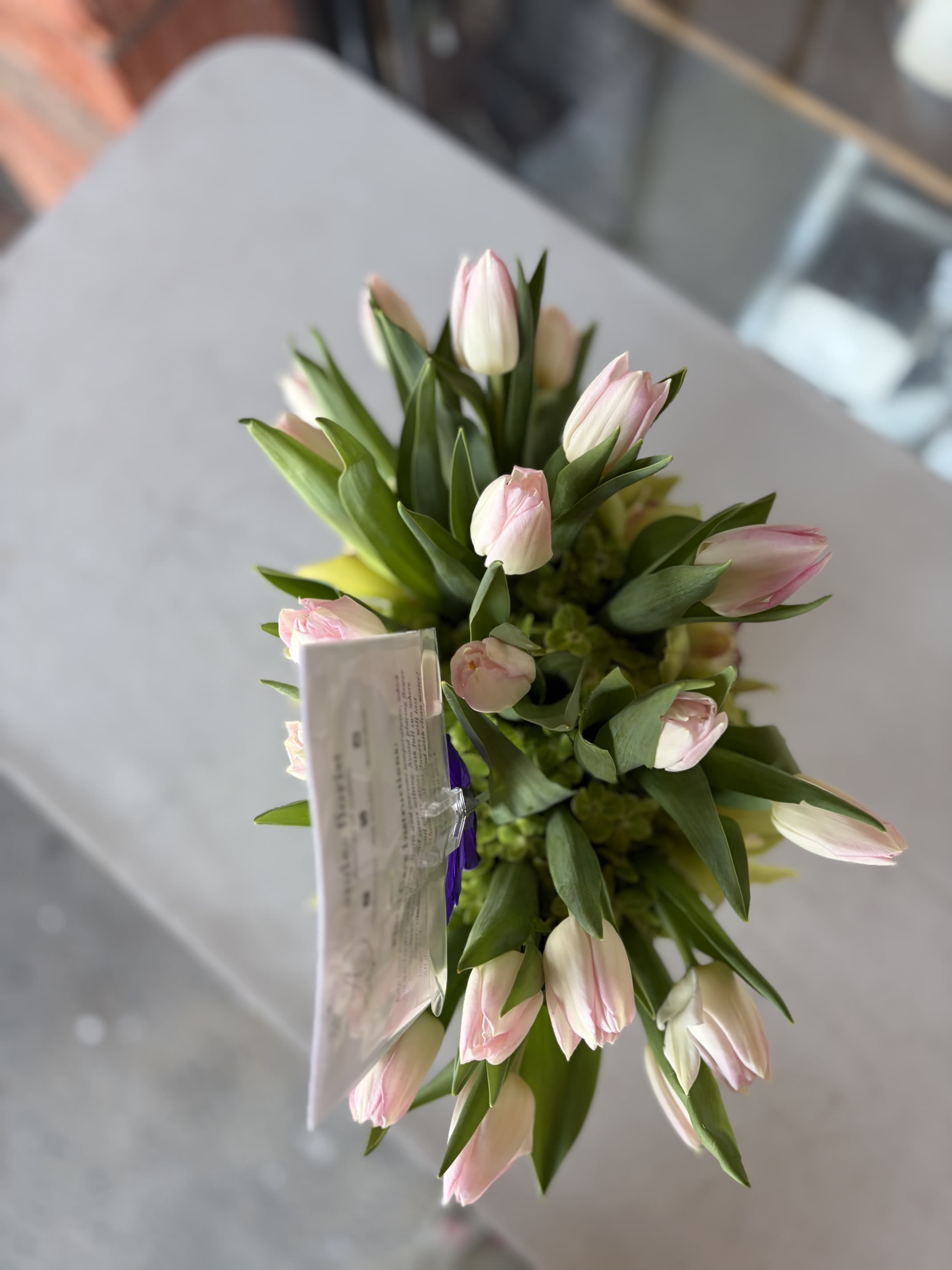 Marina - tulips and orchids