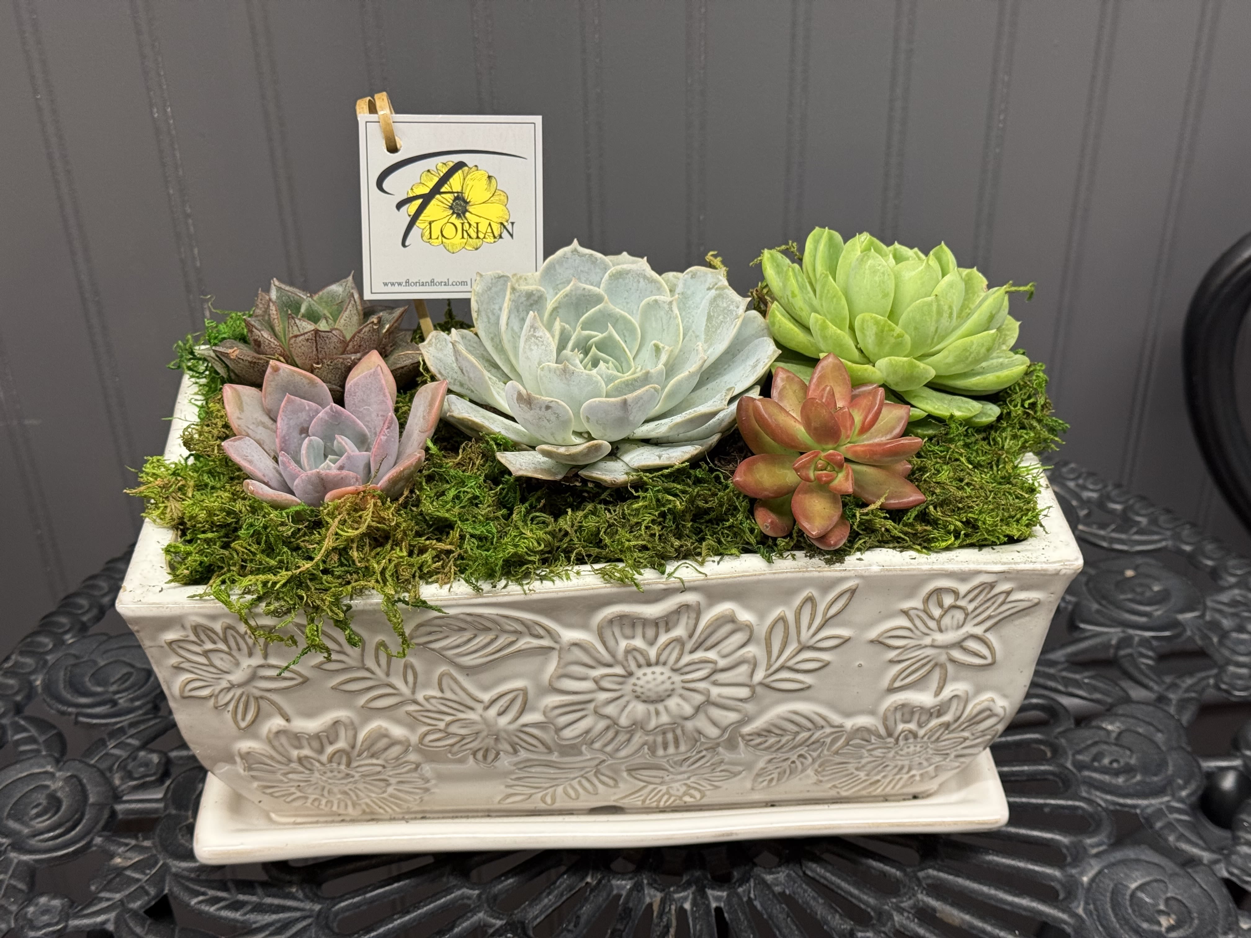 A Succulent Garden