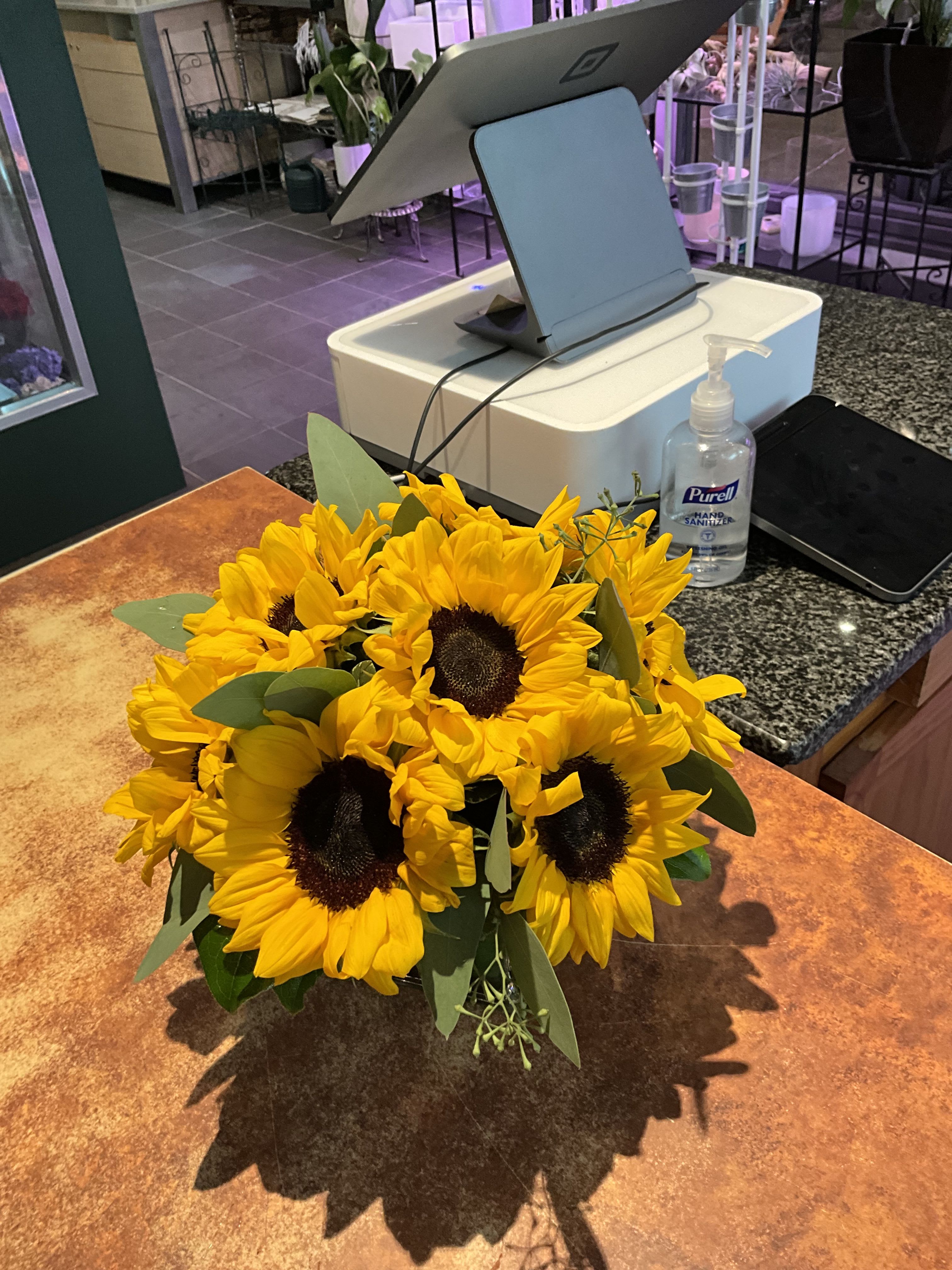 Sunshine Cube