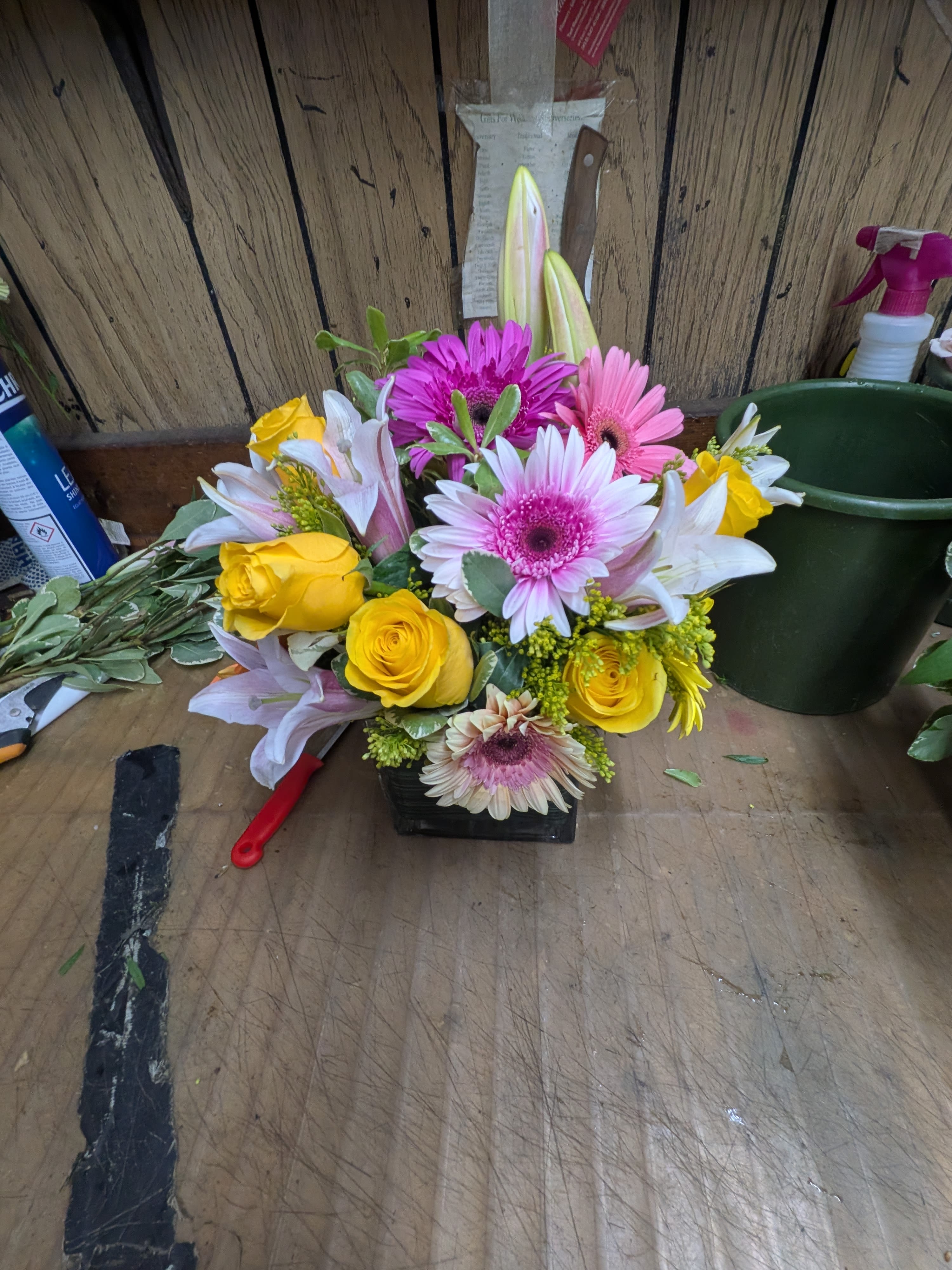 Bright and Cheerful