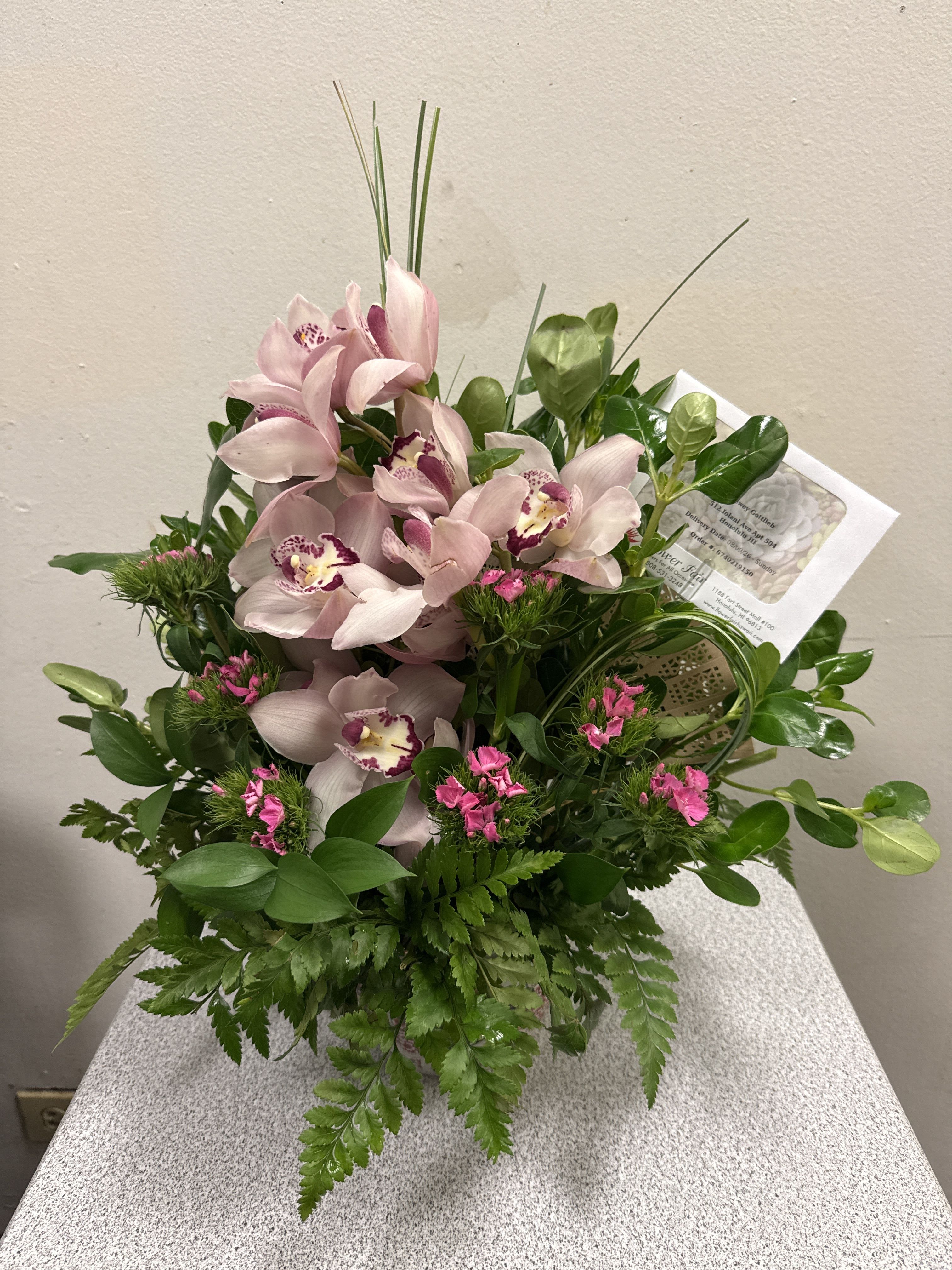 Pink Cymbidium CYM101