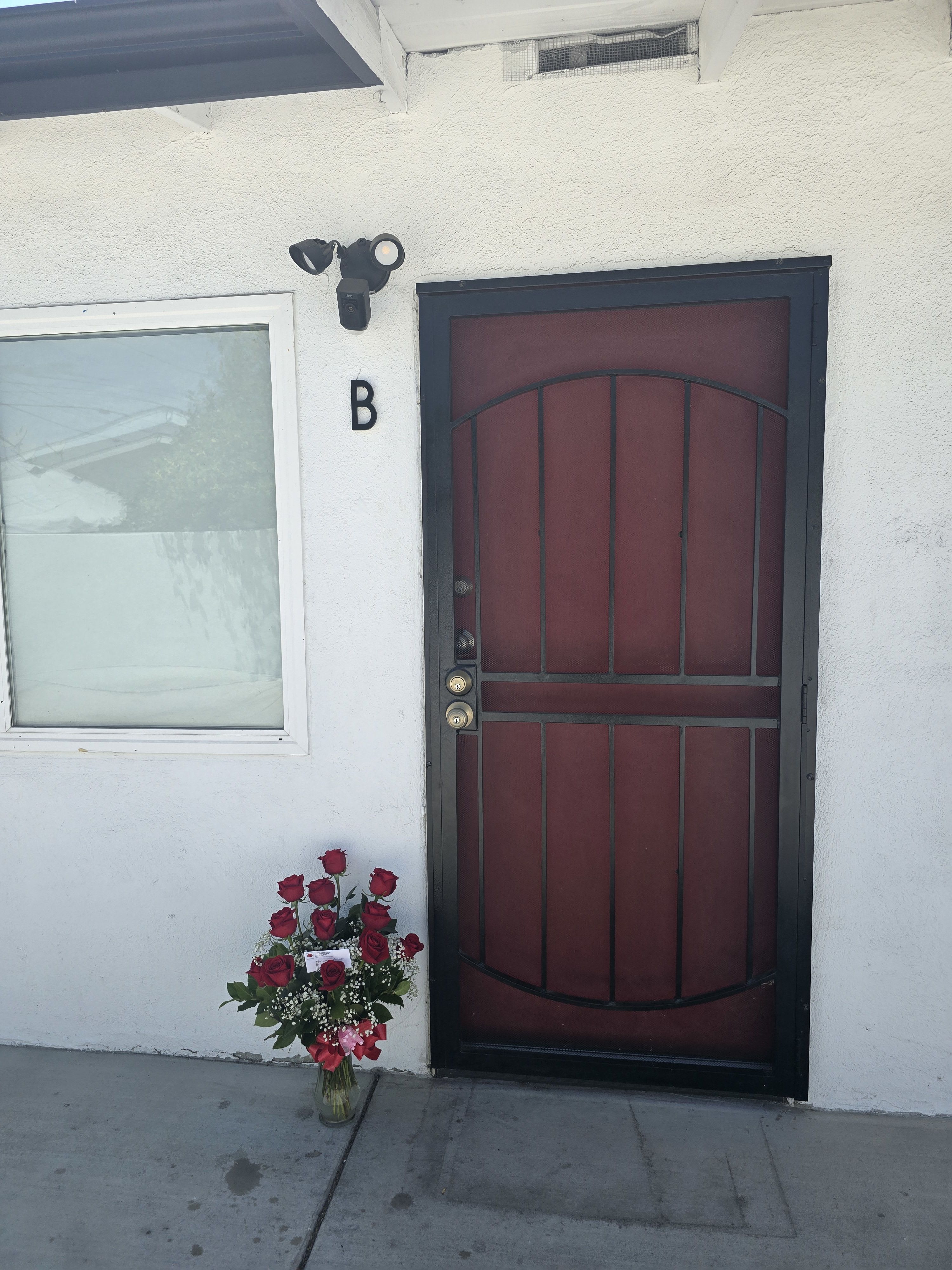 Dozen Long Stem Red Roses