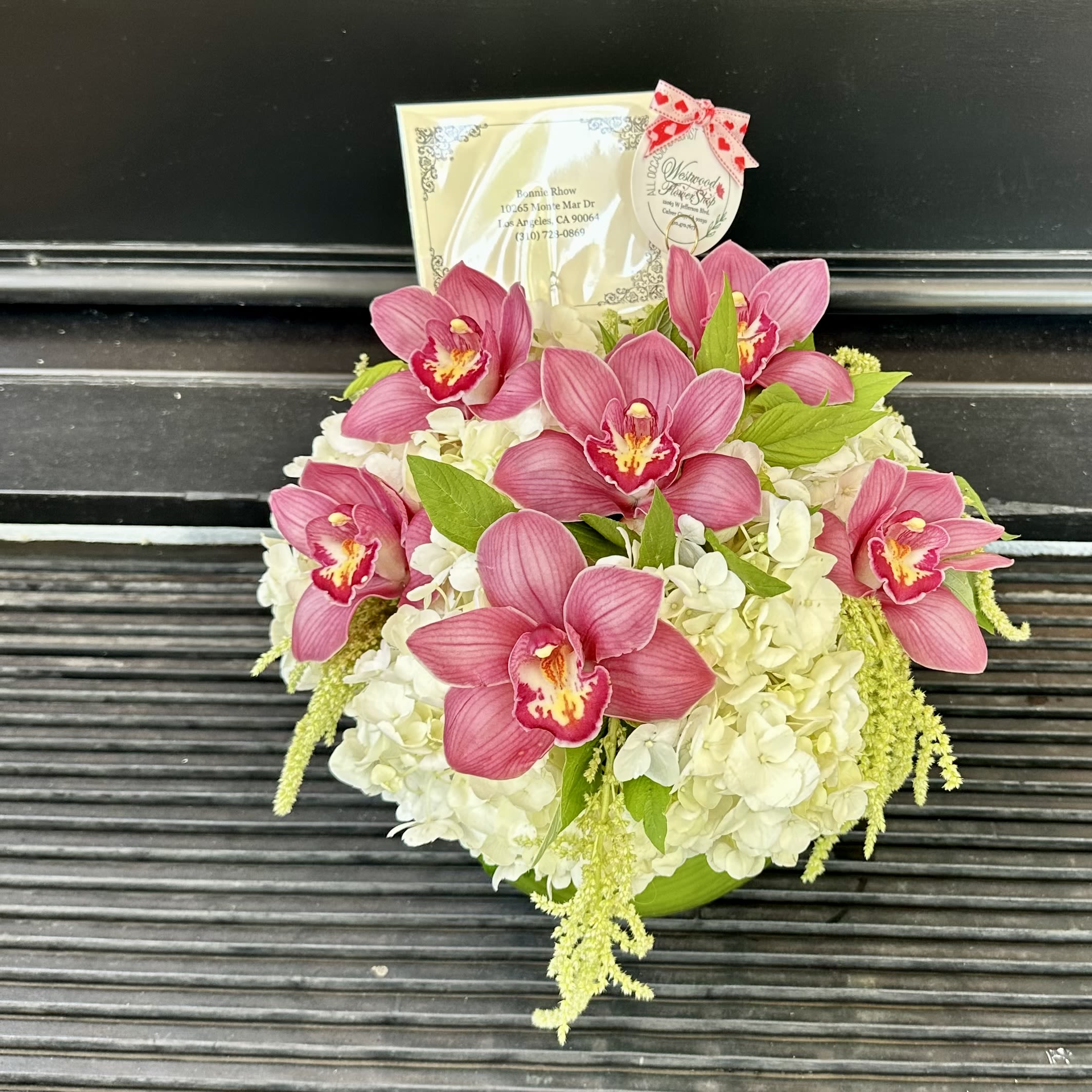 Orchid Affair