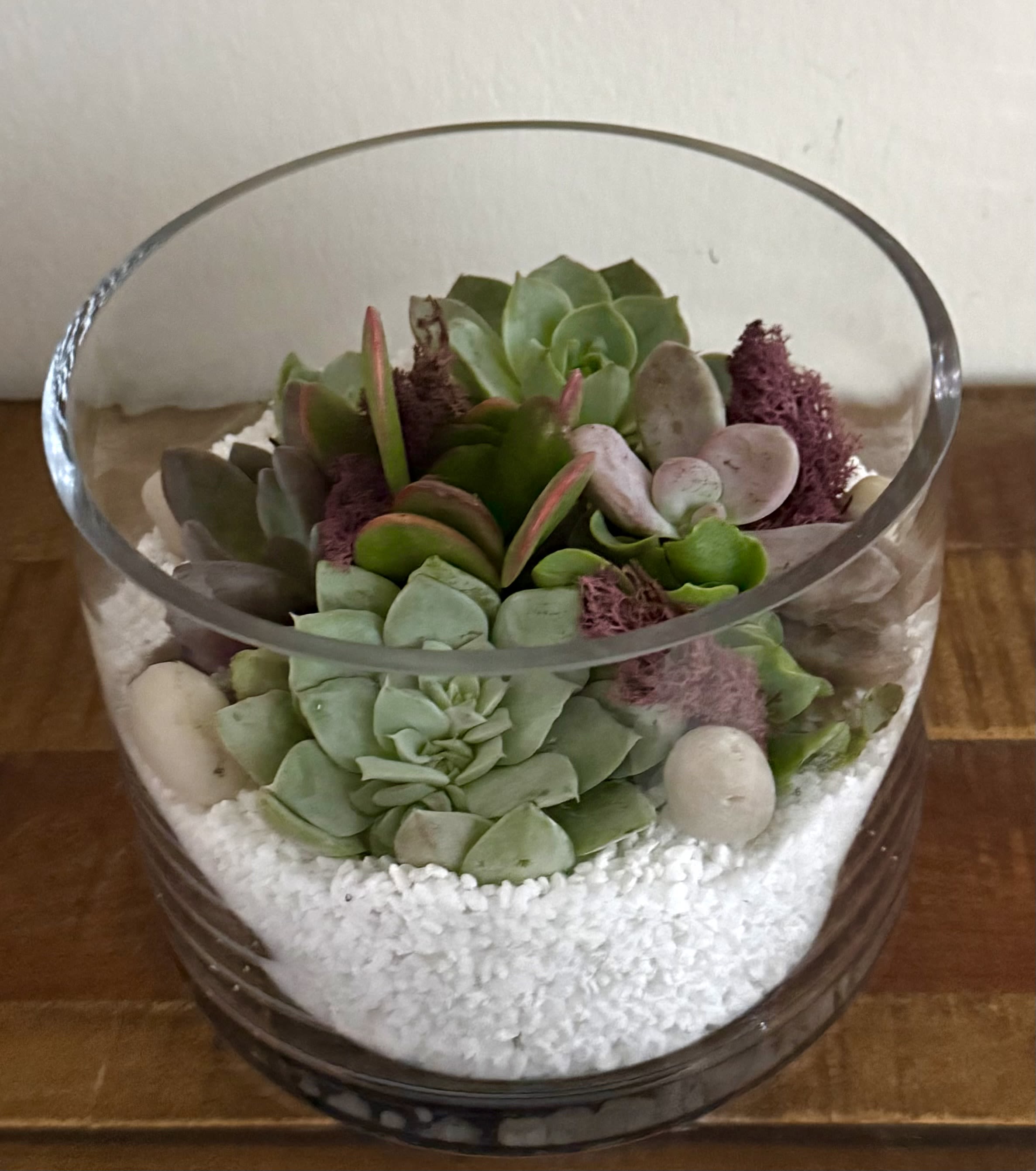 Succulent terrarium in cylinder vase