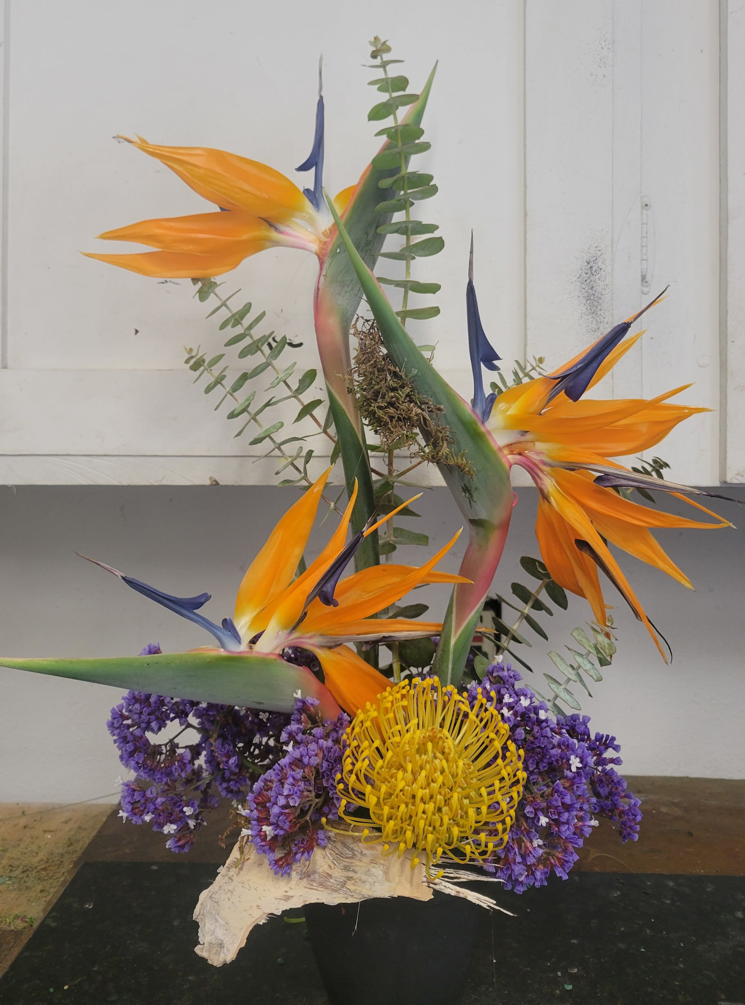 Simply Birds of Paradise