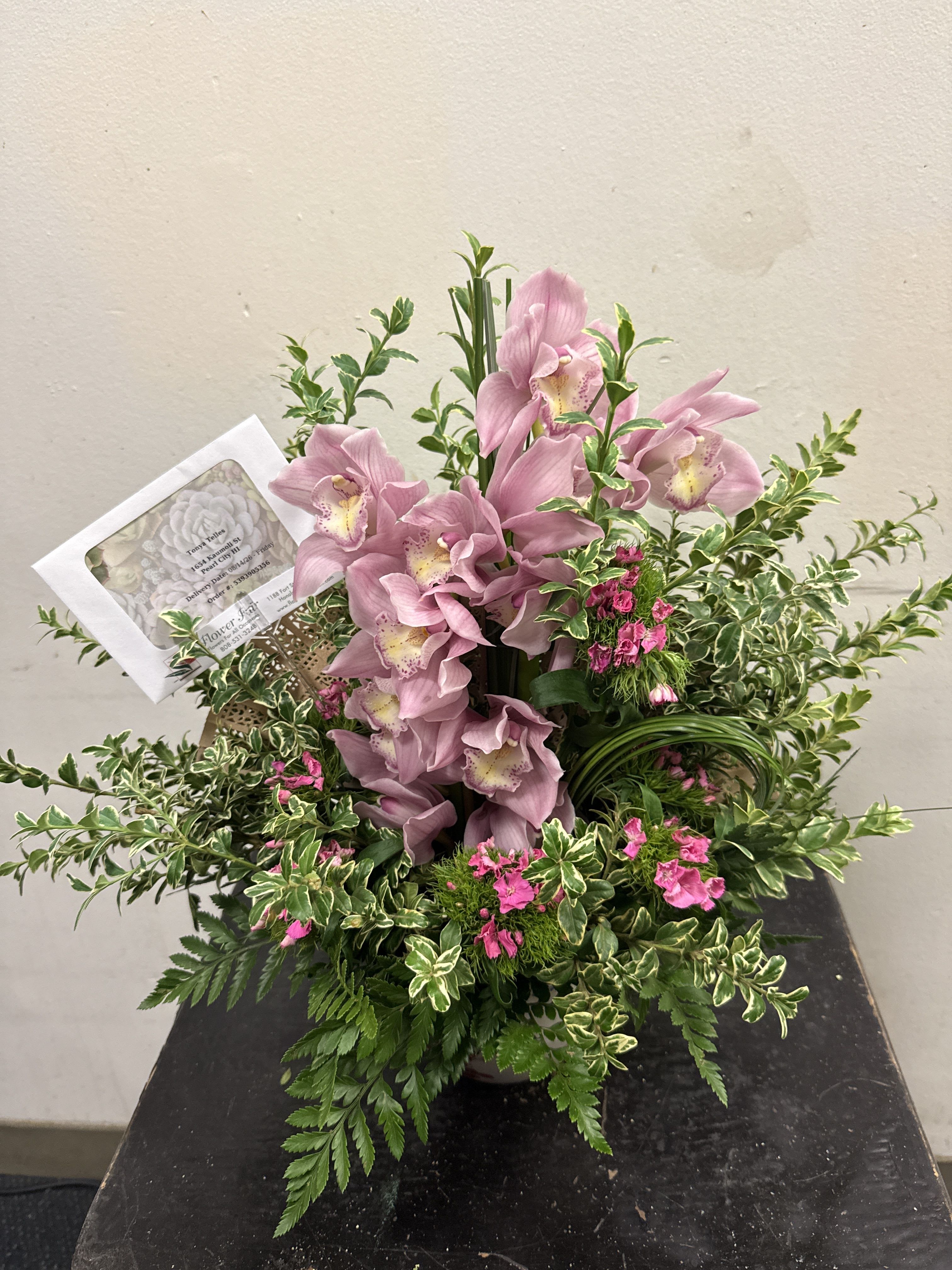 Pink Cymbidium CYM101