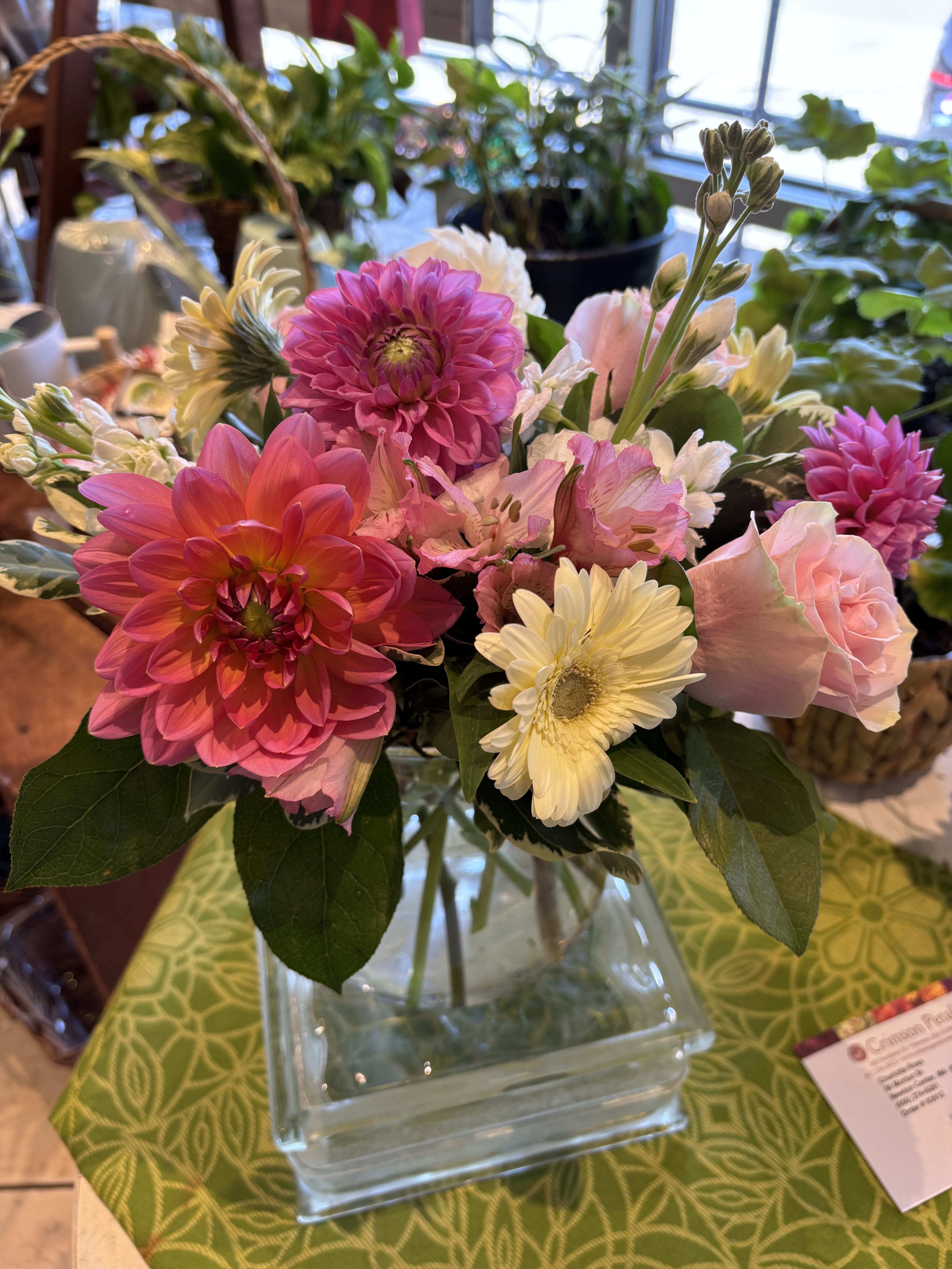 DAHLIAS for you!