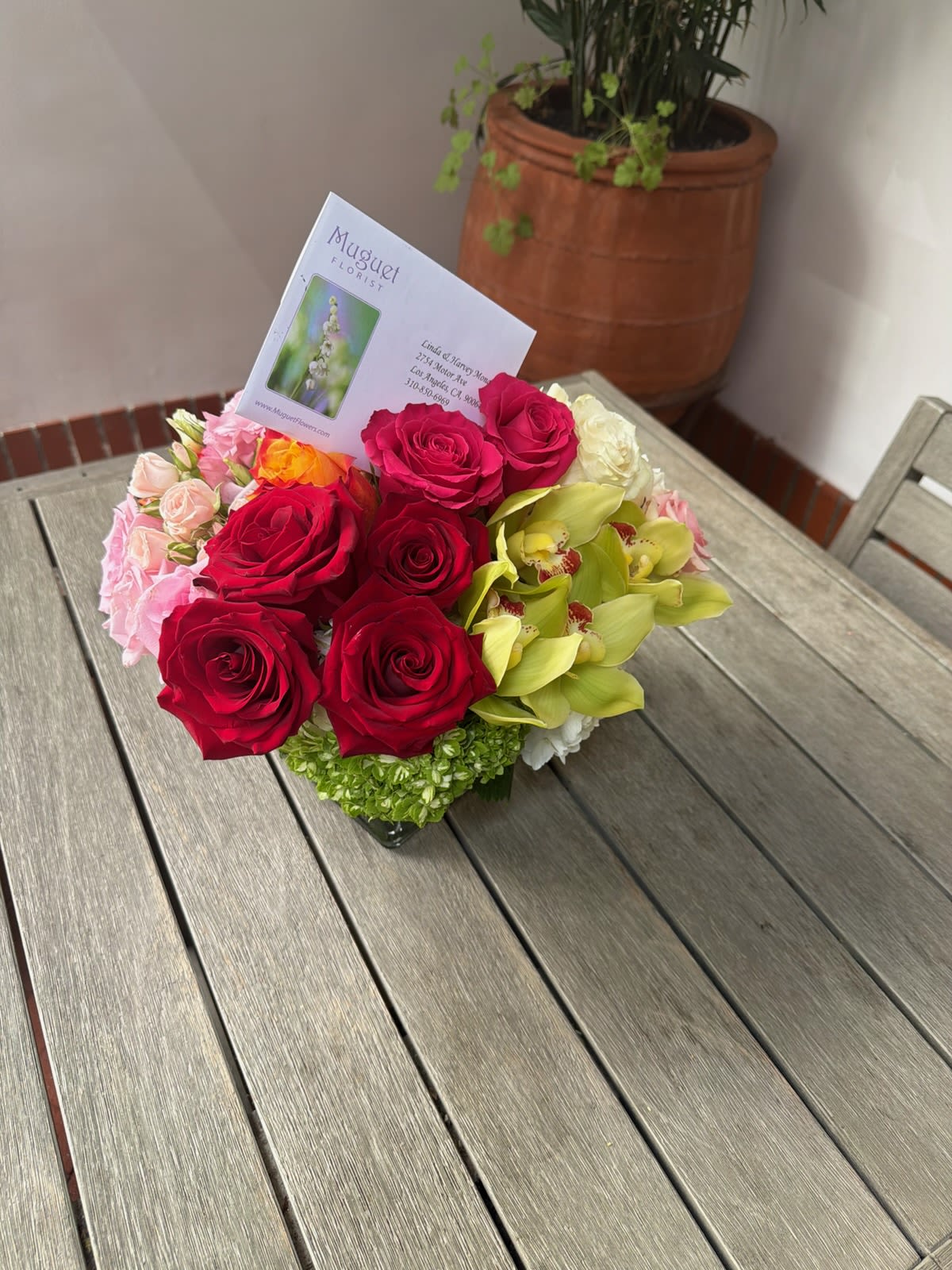 Cymbidium Rose Delight: A Fusion of Elegance and Beauty