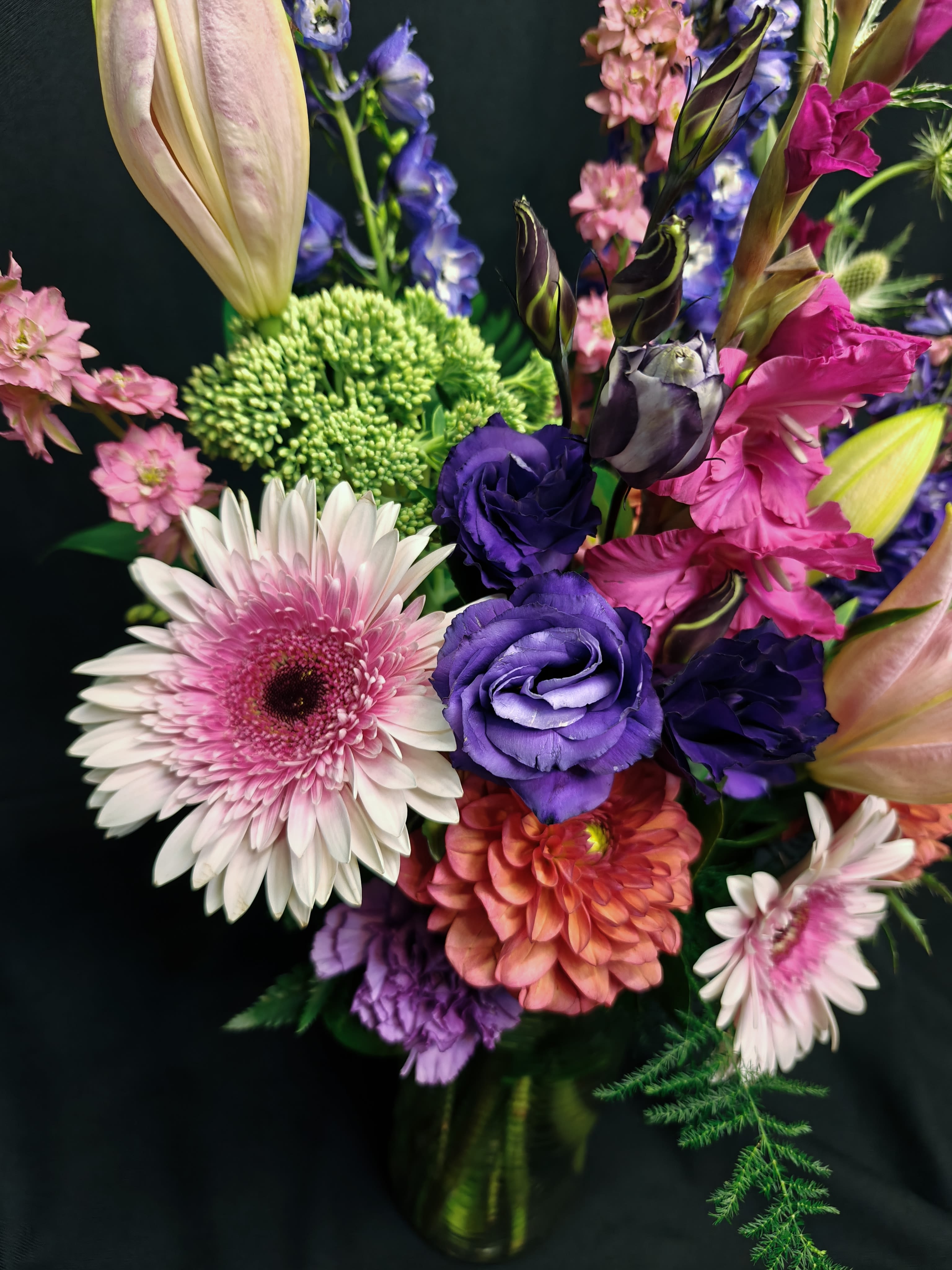 Kangaroo paw and protea daisy mix