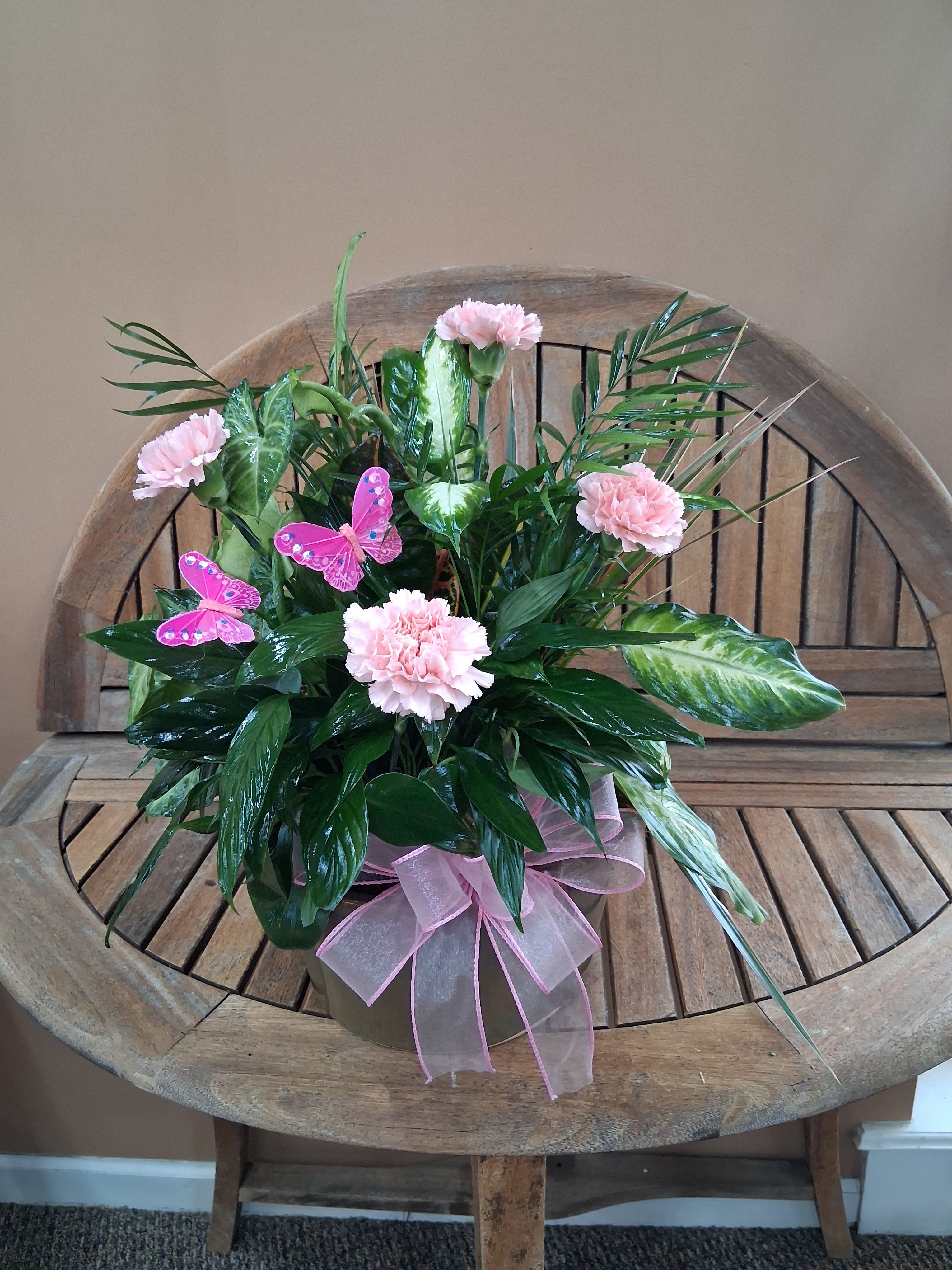 DG85 Dish Garden In Ceramic container  - Huntsville delivery