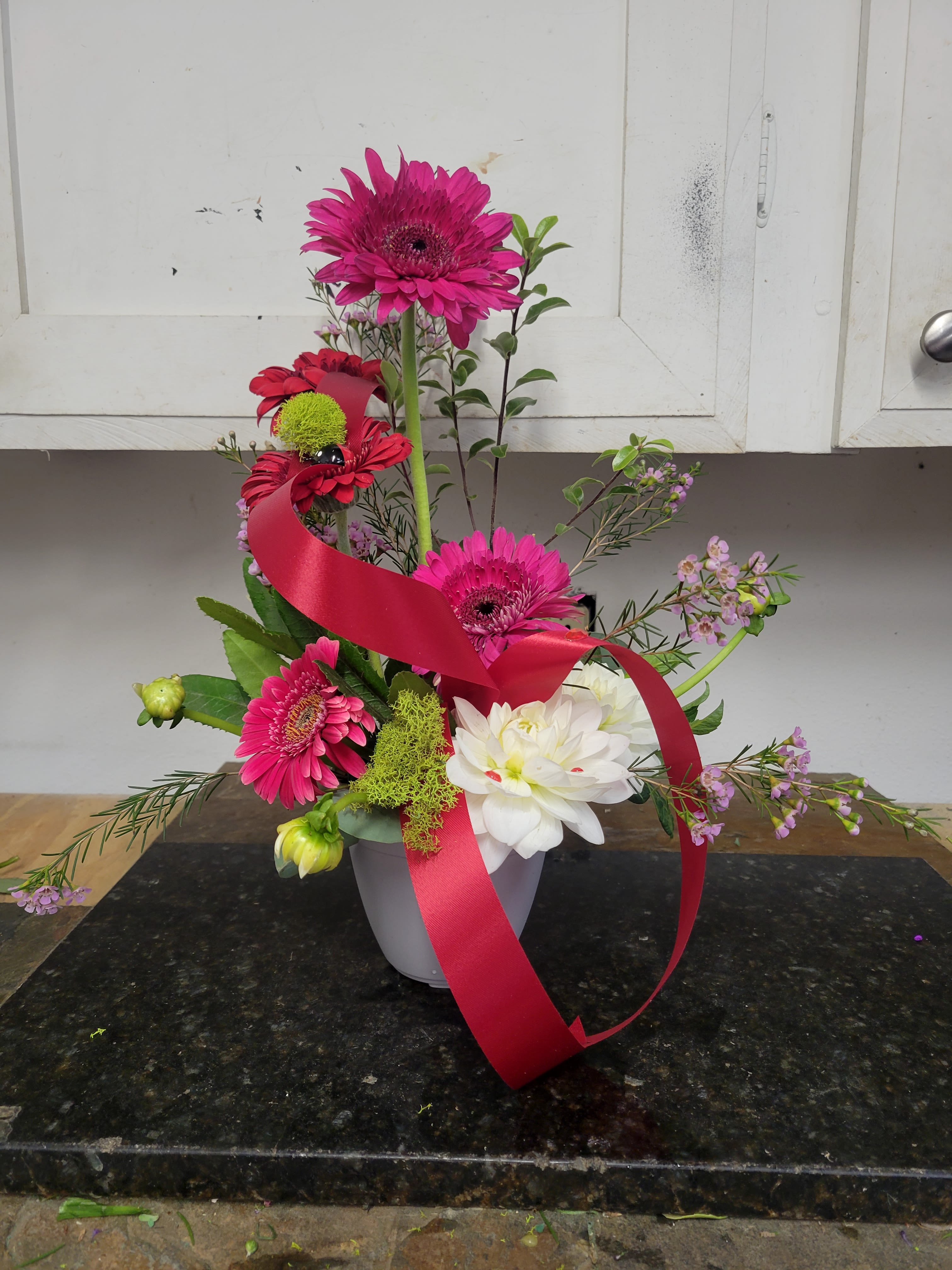 Gerbera Surprise!