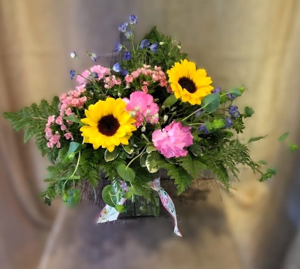 Our Sunlit Garden ~ Flower A Day