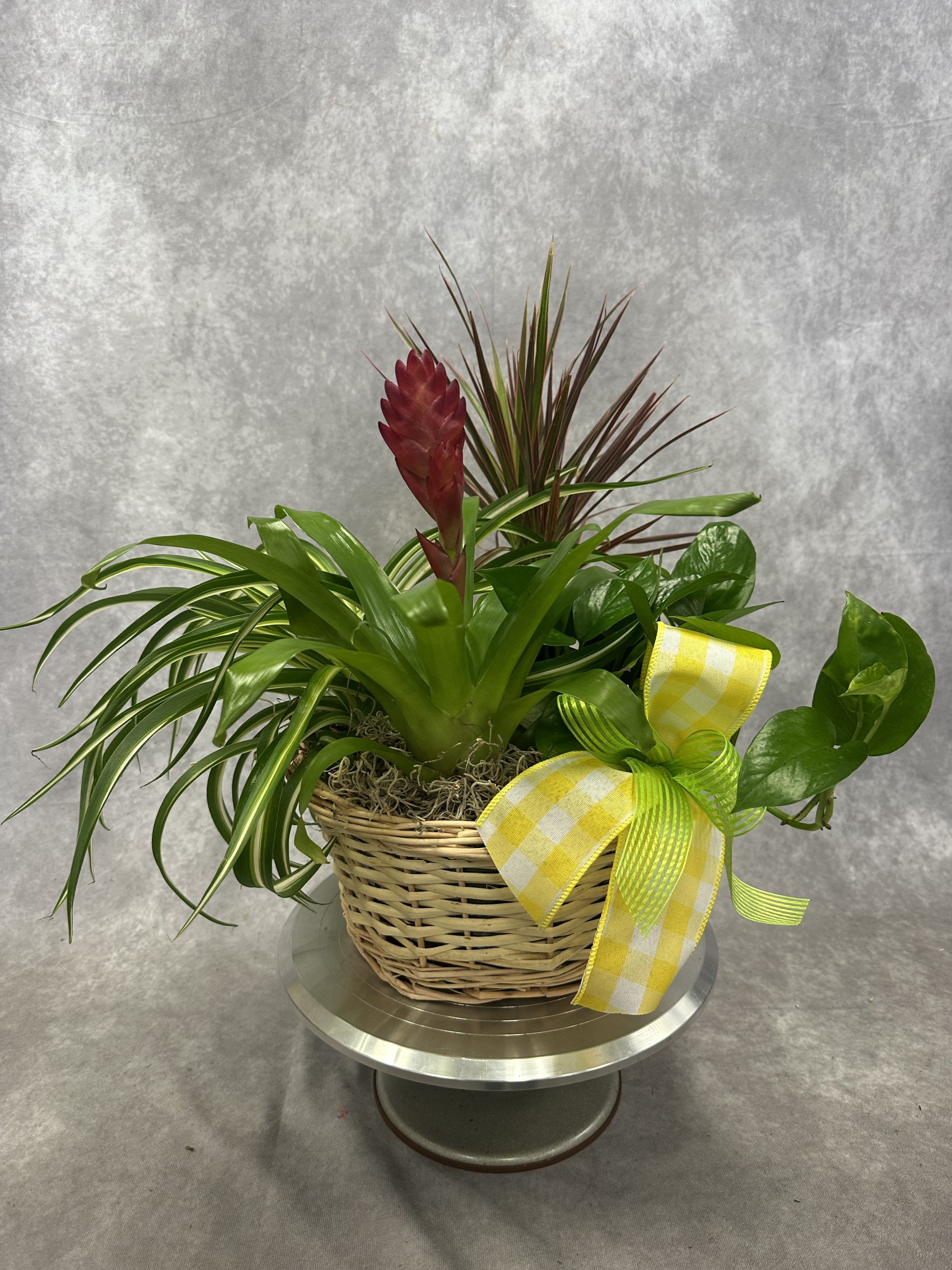 Assorted Garden Basket