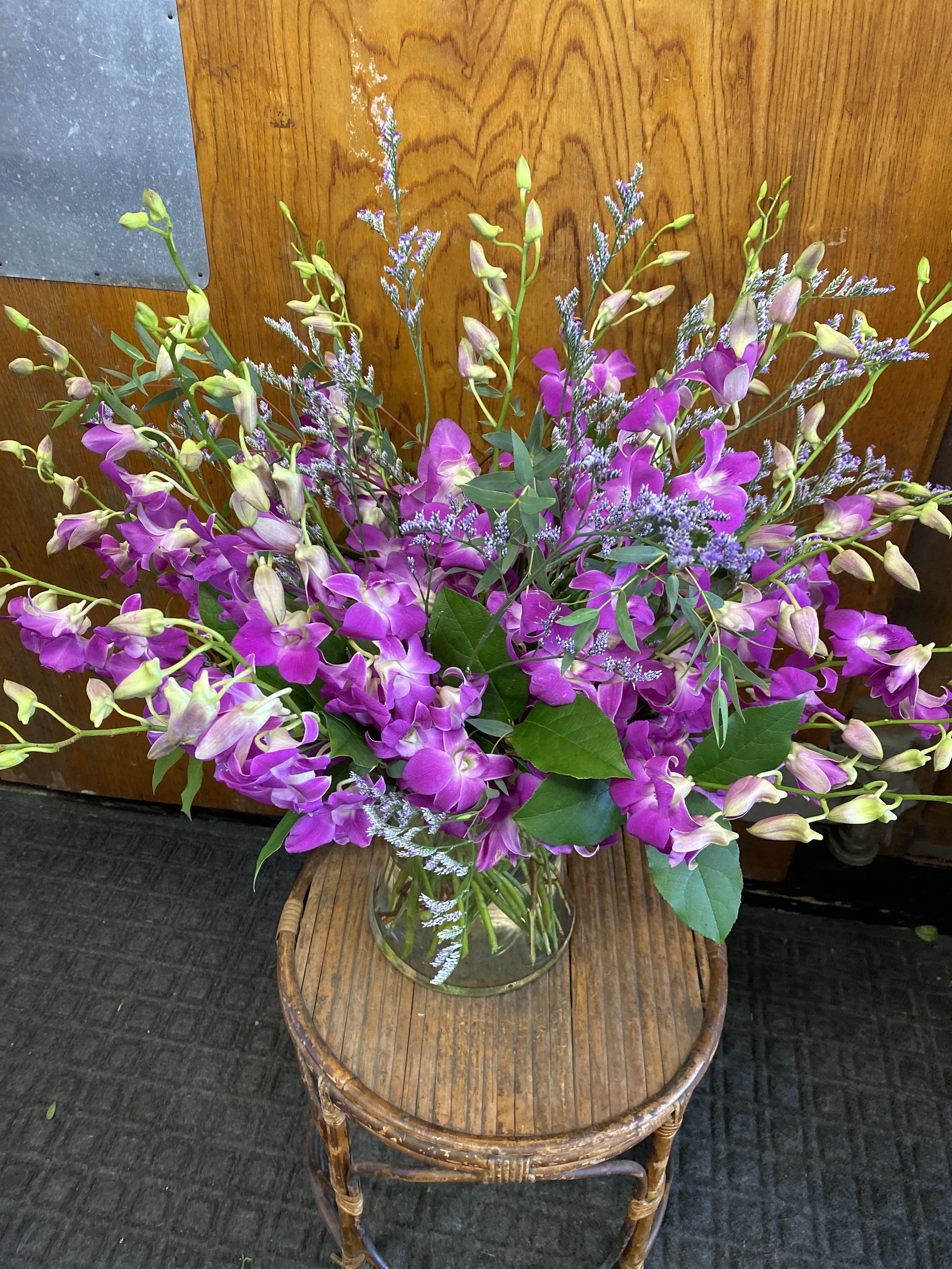 Dendrobium Daze