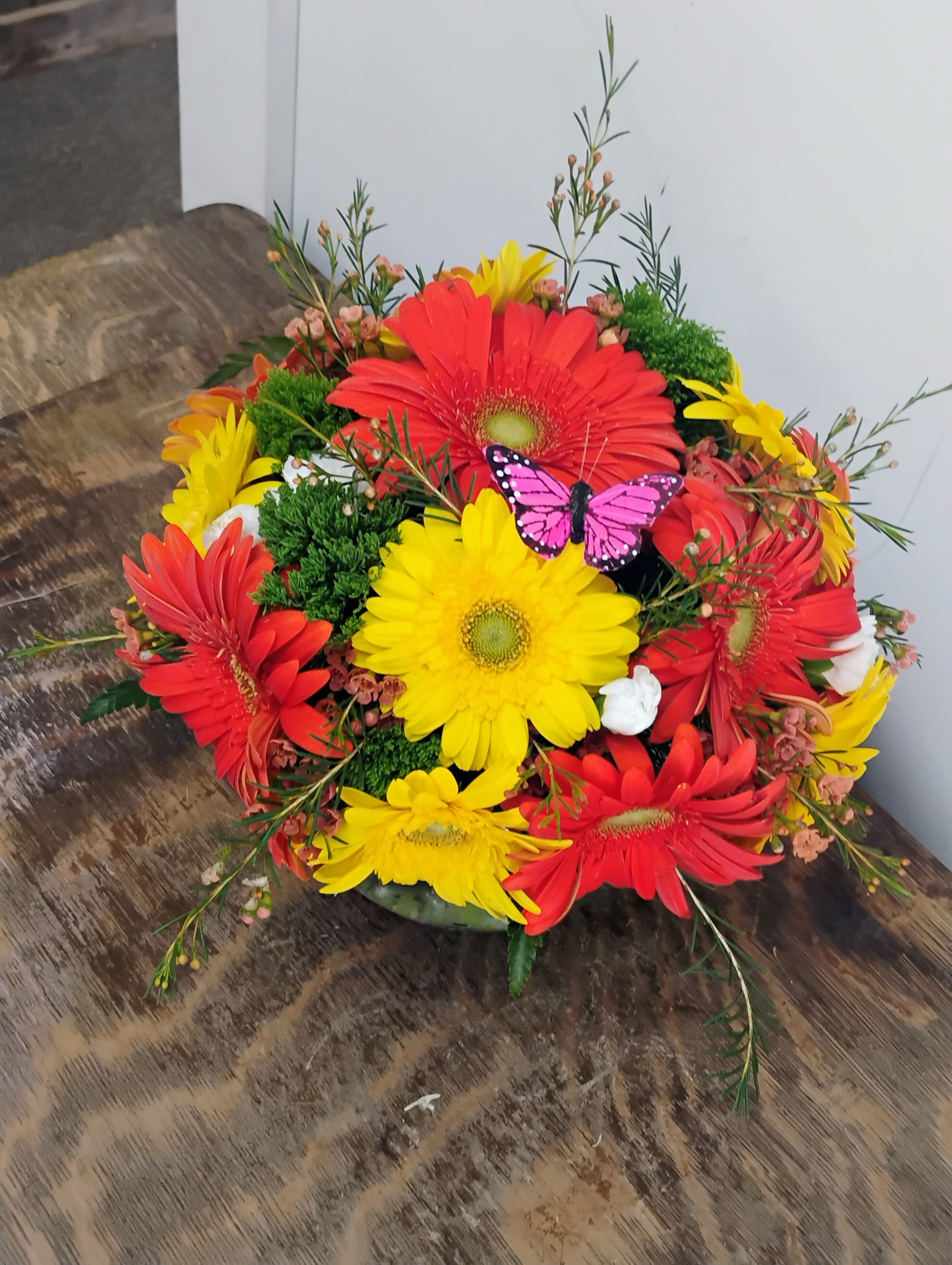 Dazzling Daisy Bowl by BloomNation™
