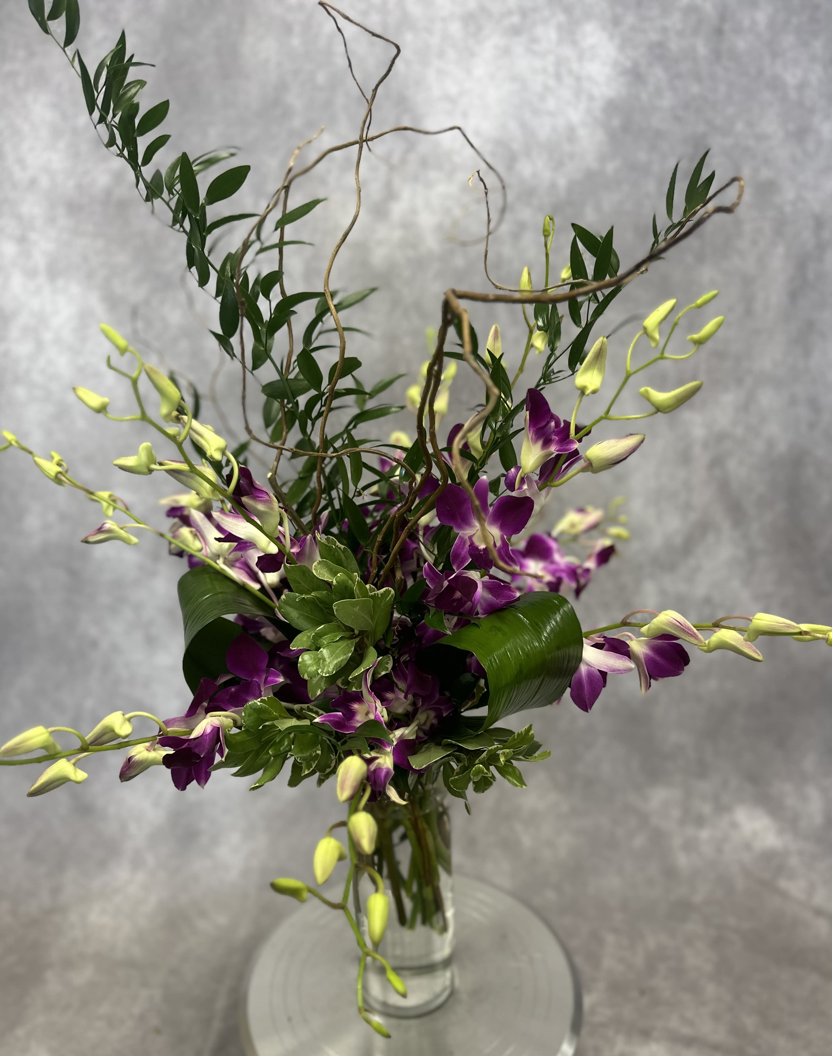 Dendrobium Orchids