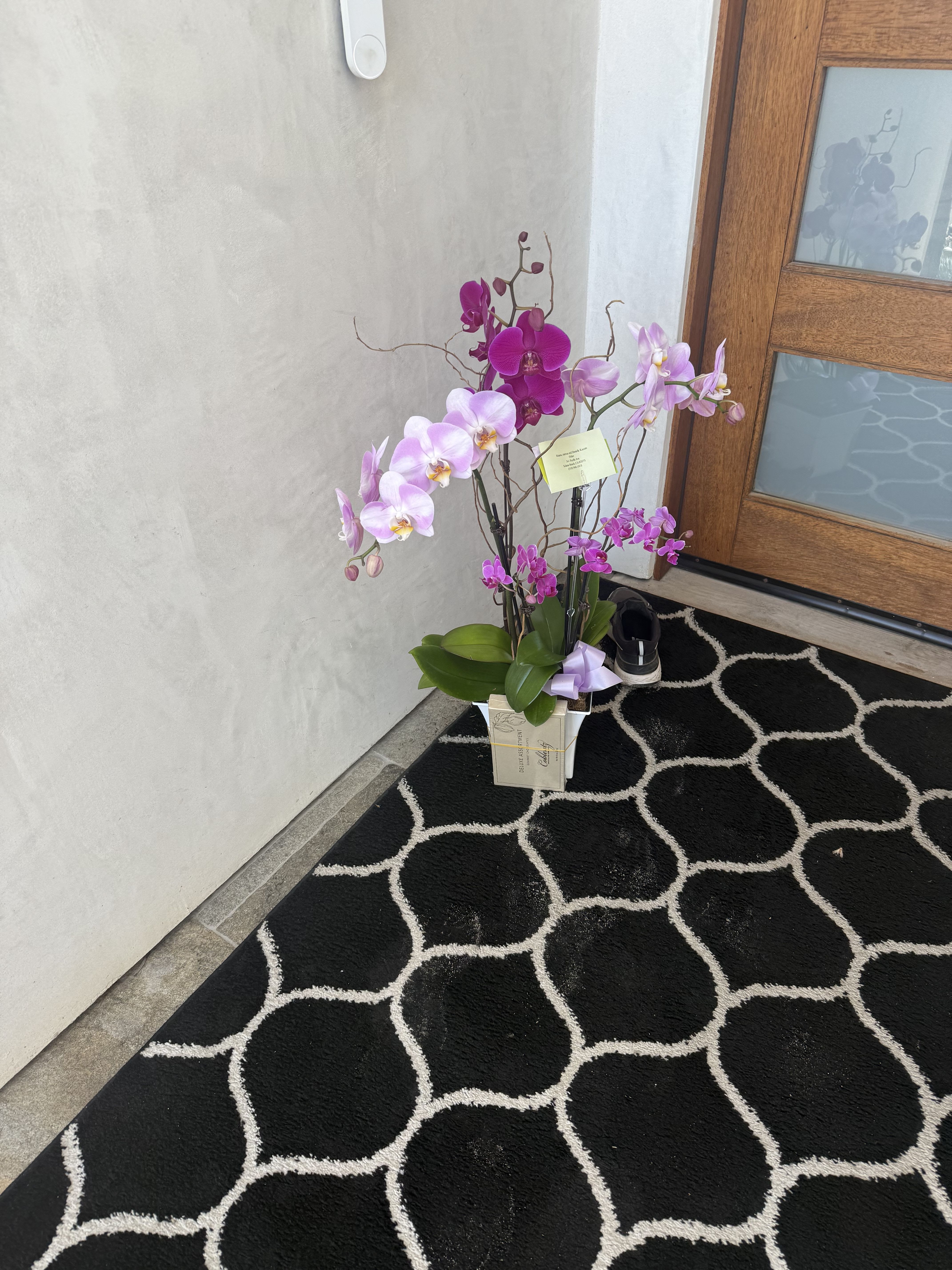 Purple and Lavender Mix