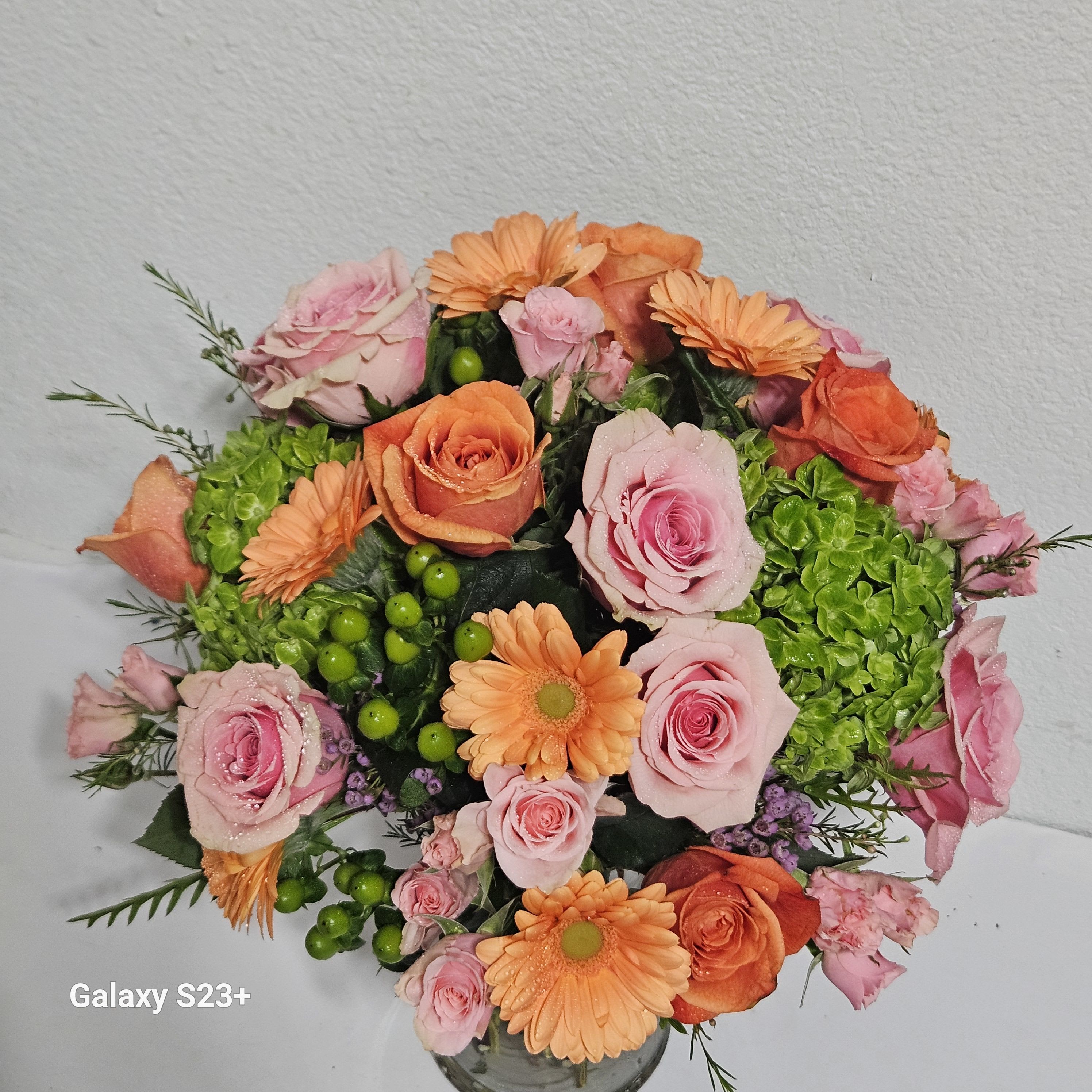 SHERBERT BLOSSOMS