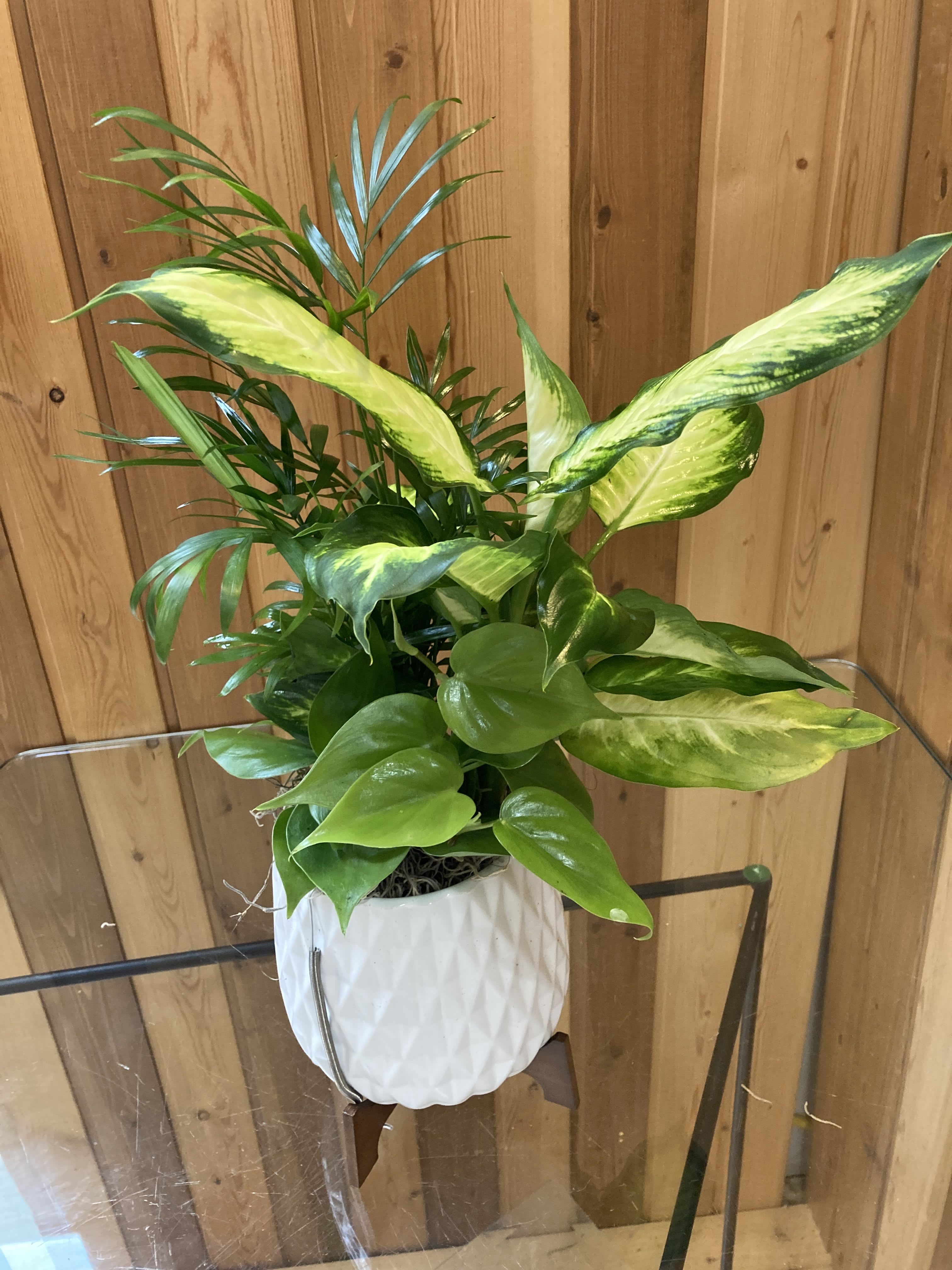 Ceramic Planter