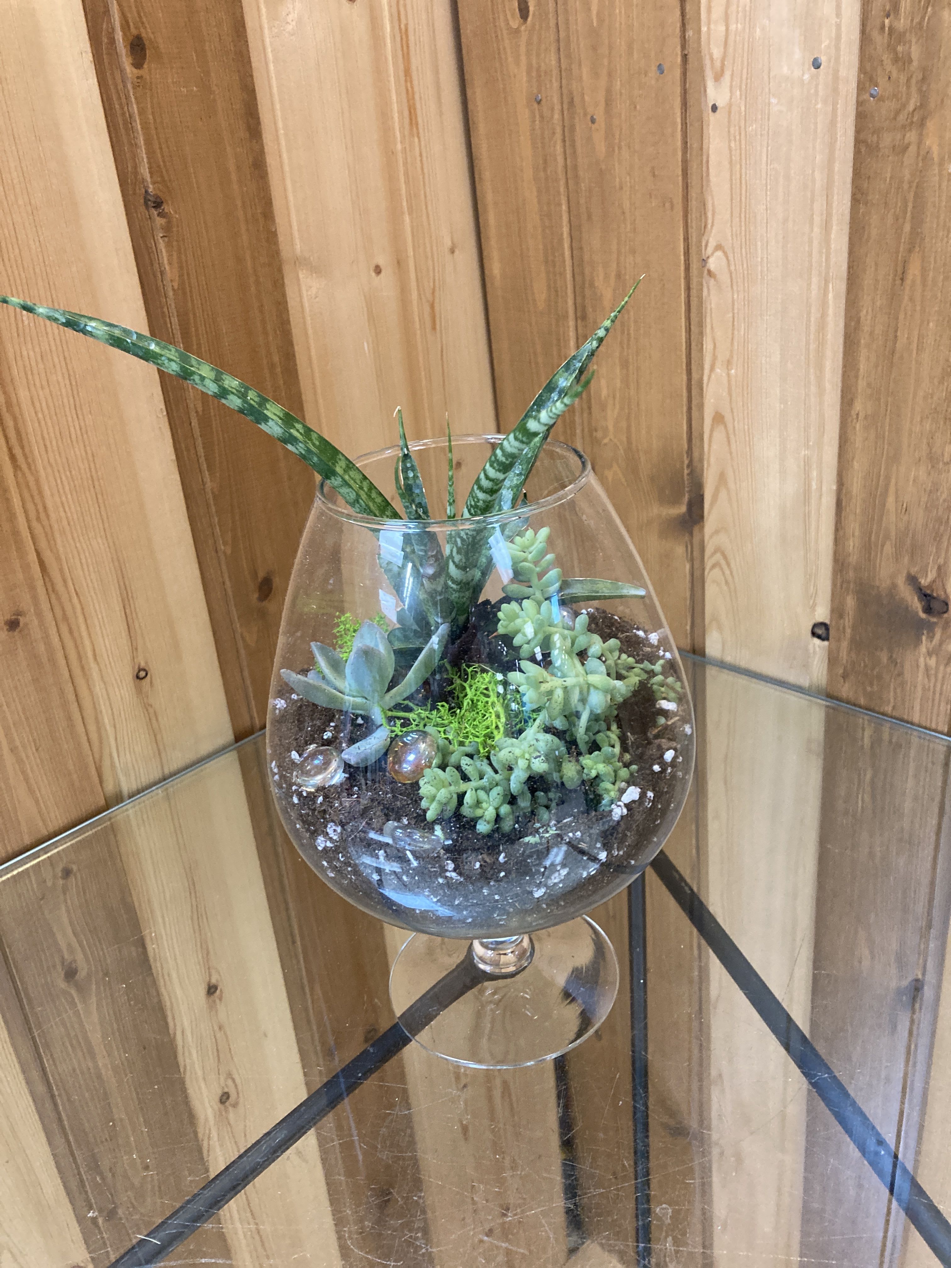 Succulent Tranquility Terrarium