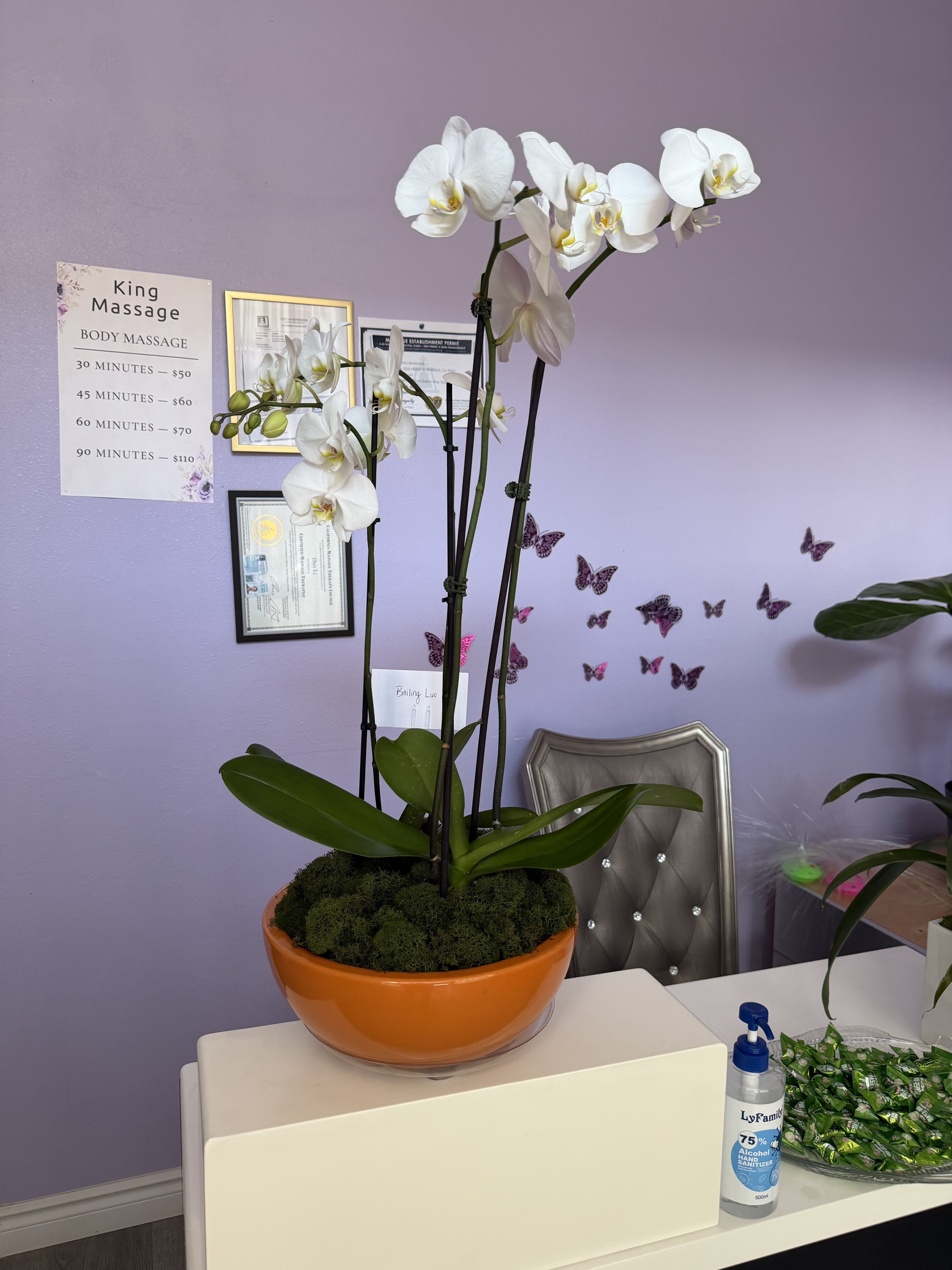 White Orchid Elegance 