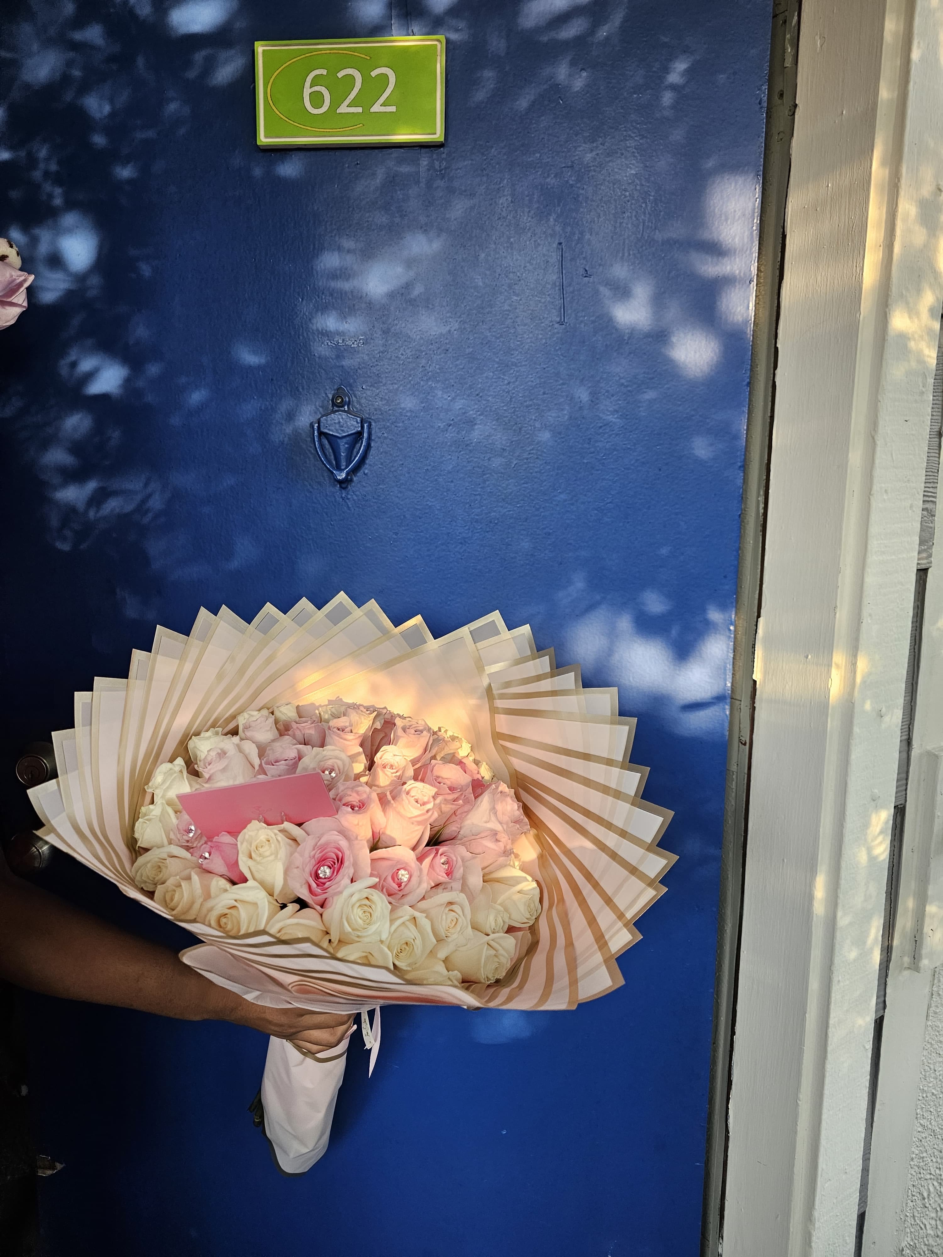 50 Love Pink & White Roses