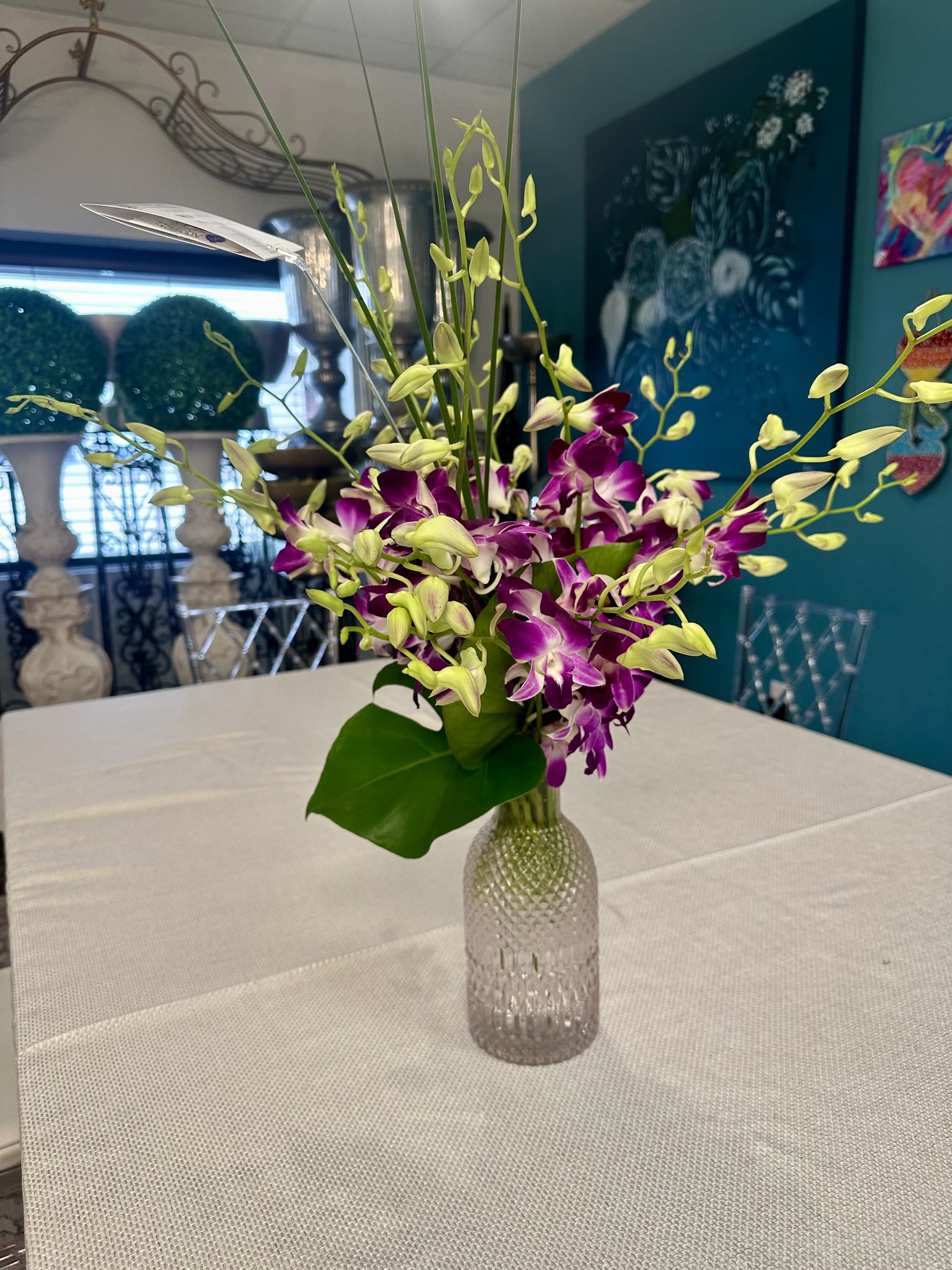 Dendrobium Orchids